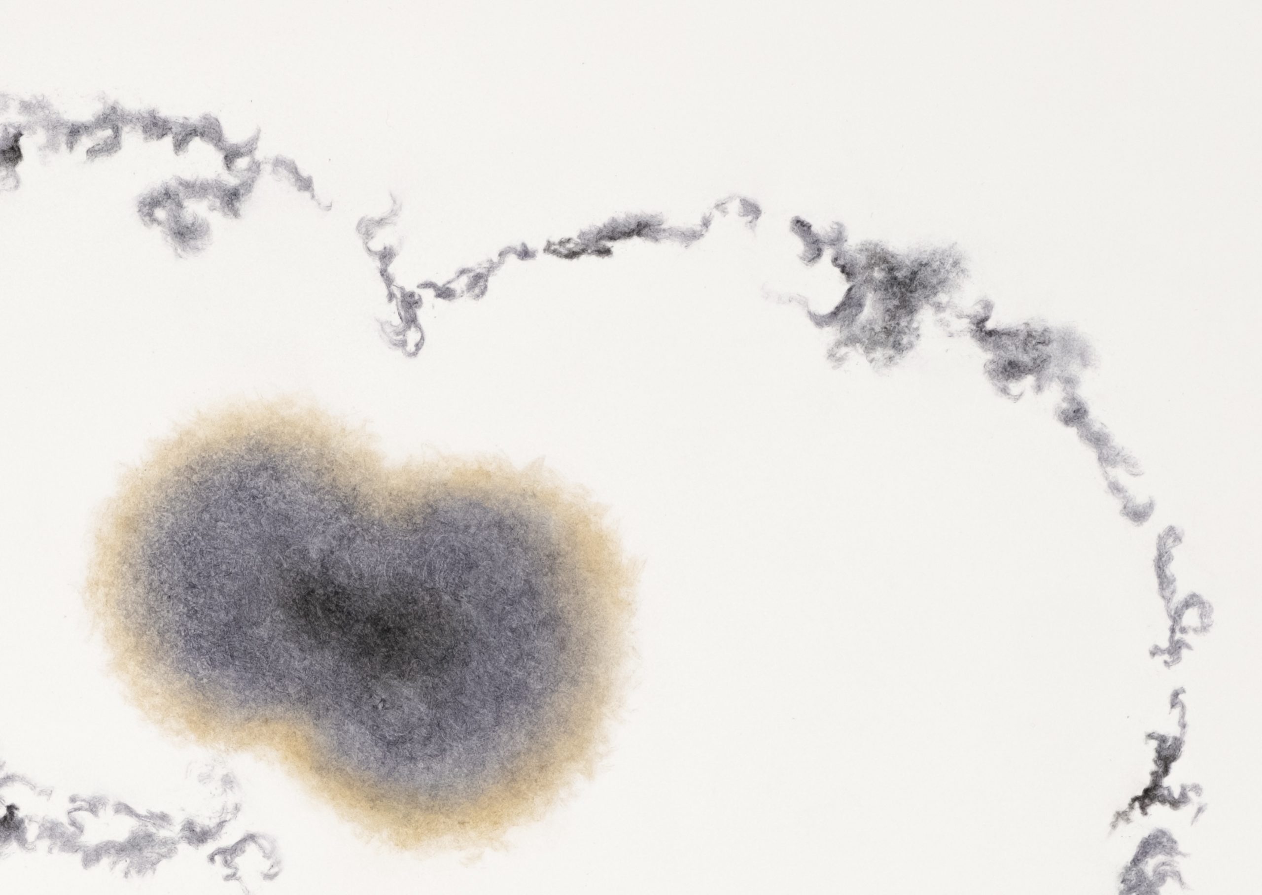 Rihasa Cc6 Dance Around You 2