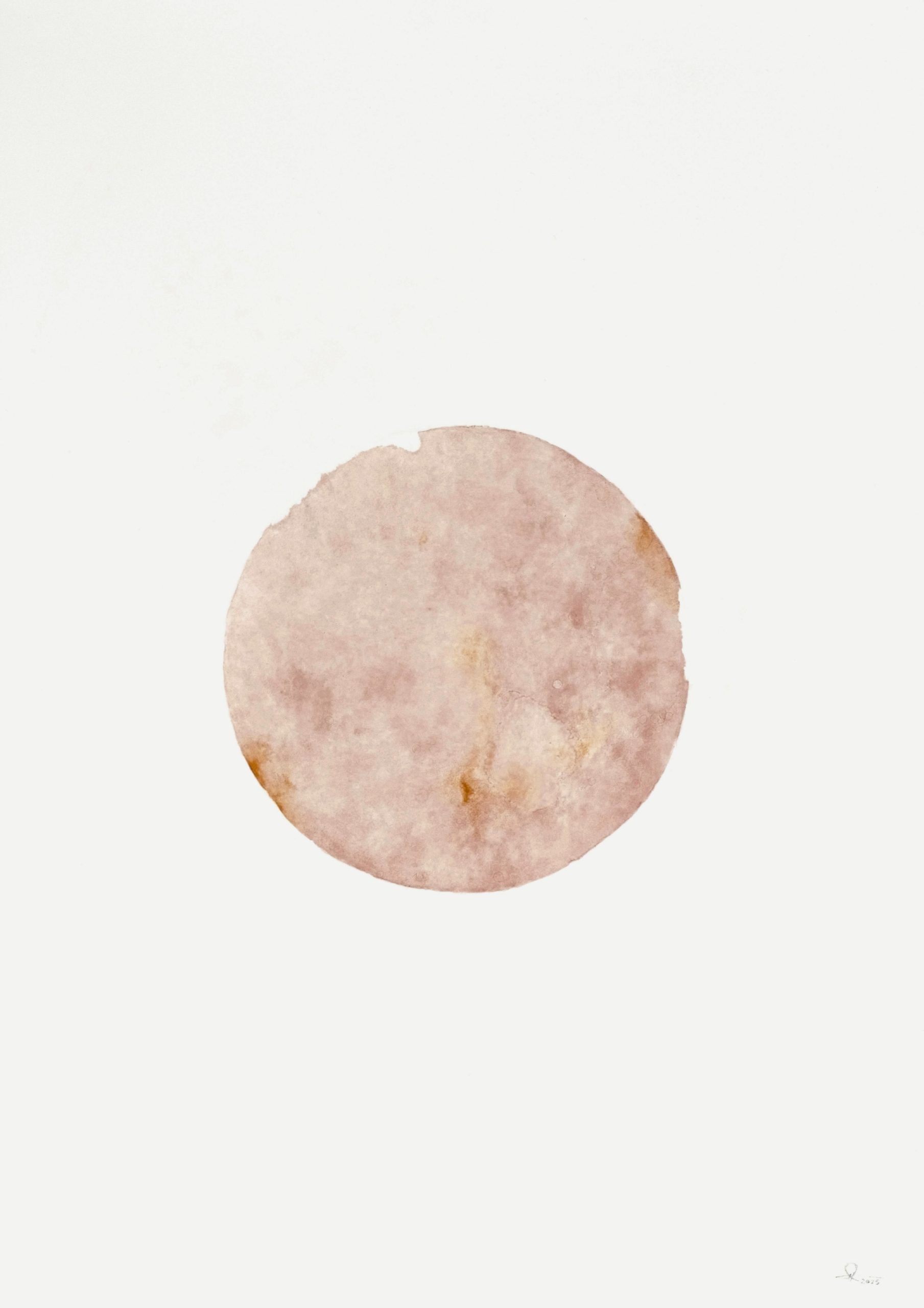 Rihasa Hill Cc Pink Studies 1