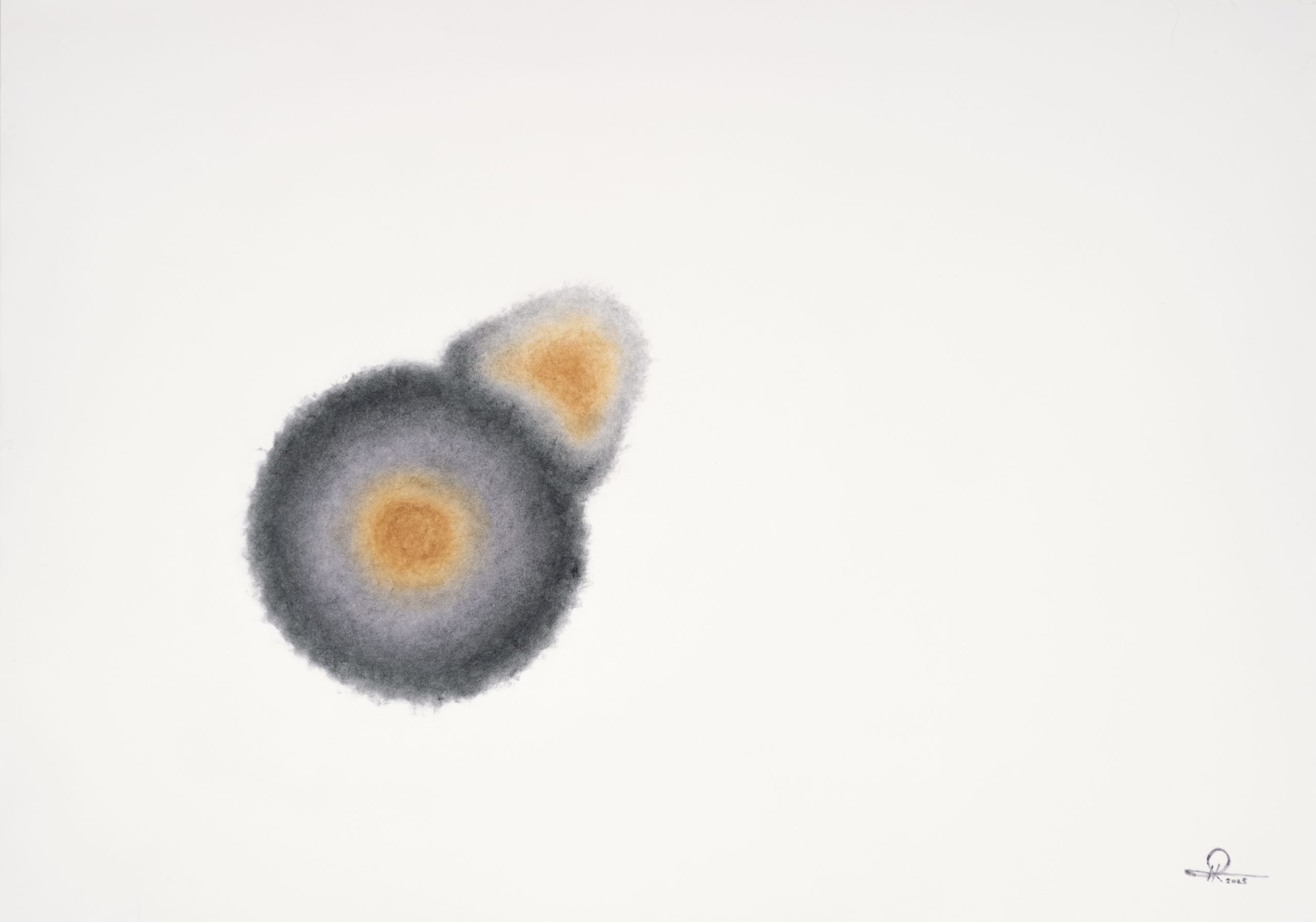 Rihasa Hill Cc4 Mitosis 1