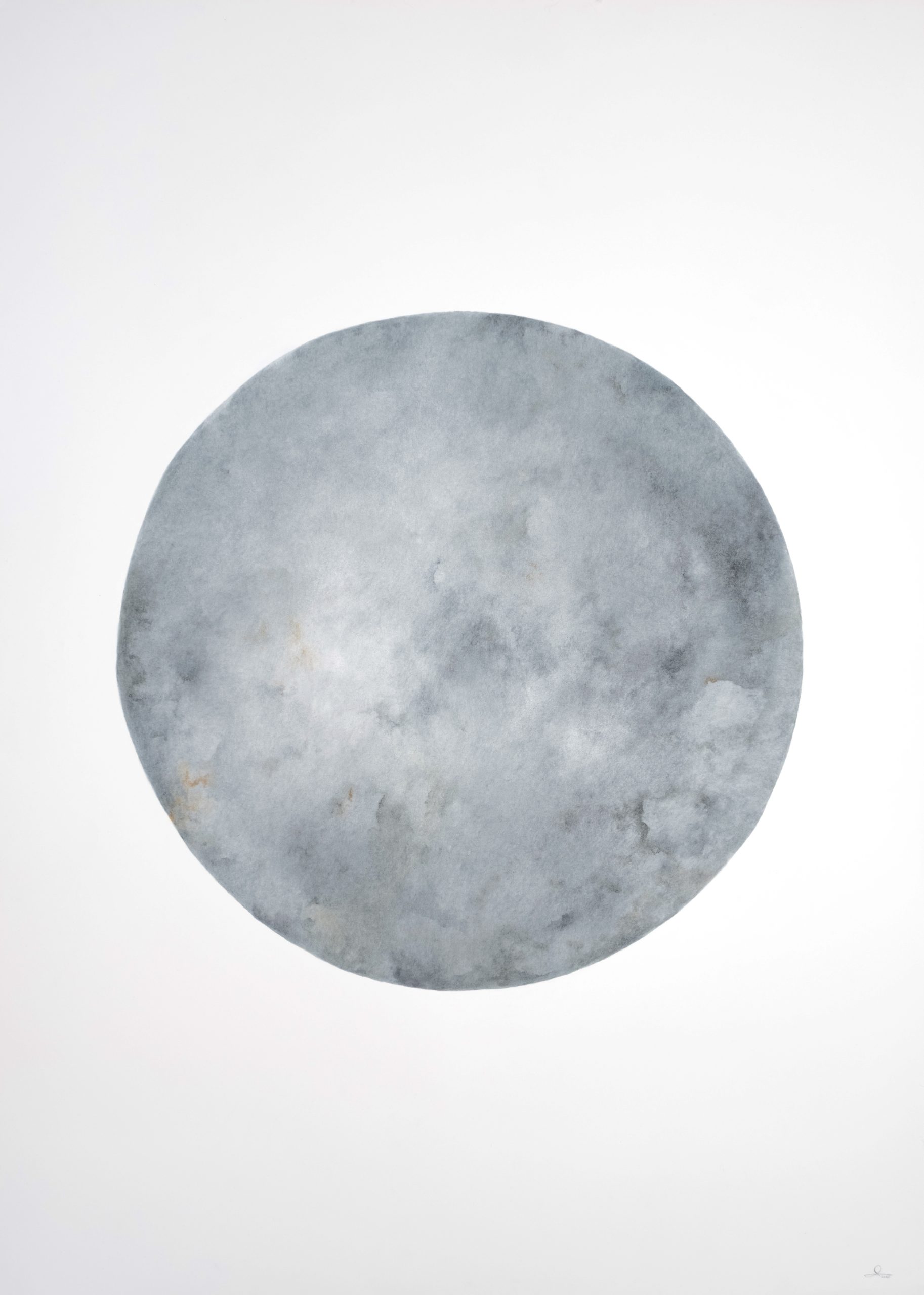 Rihasa Cc2 Greygreens1