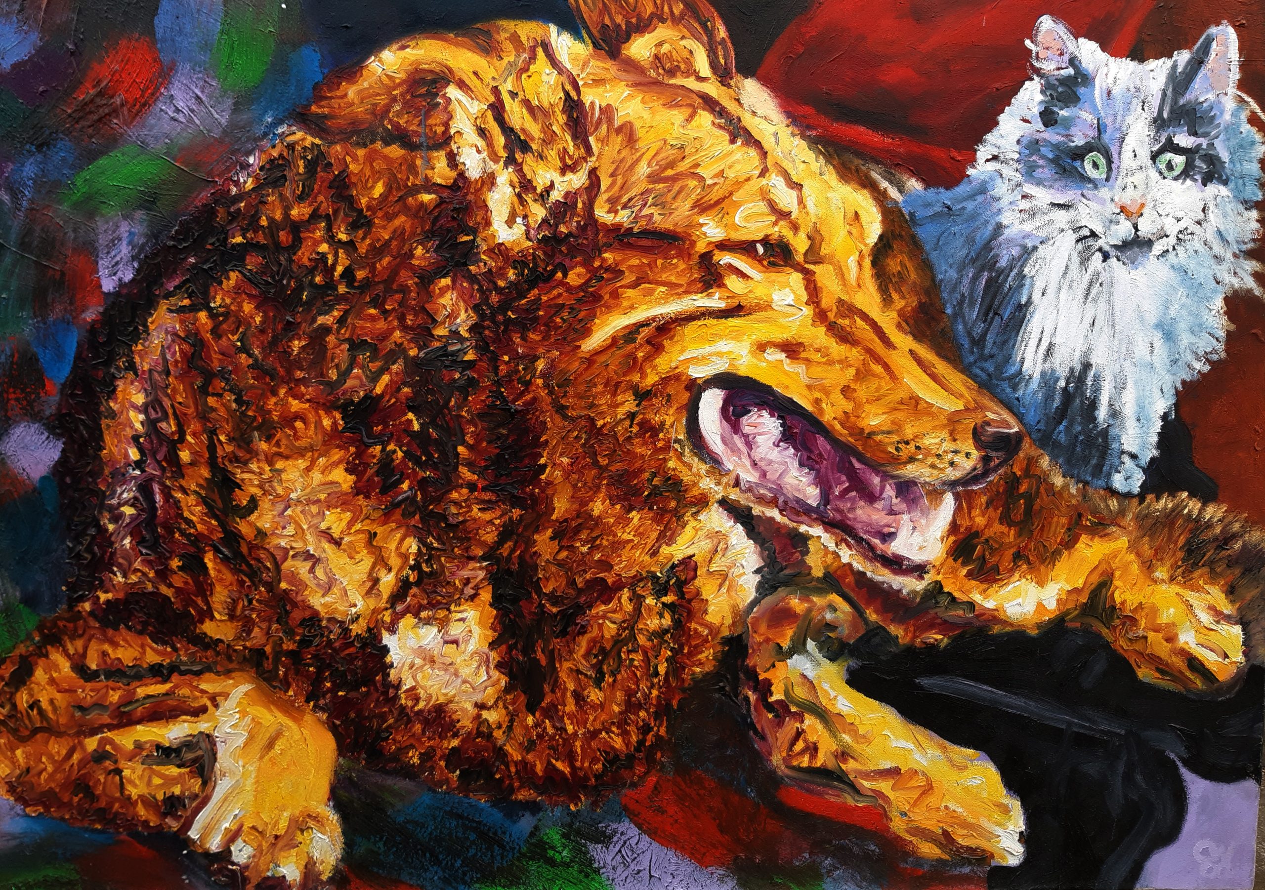 Three Phase Monty Rex 1