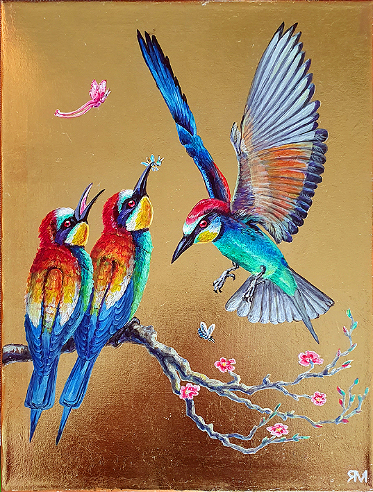 Rainbow bee-eaters
