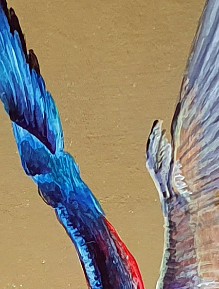 Rainbow Bee Eater Det4