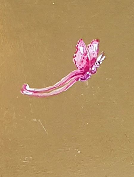 Rainbow Bee Eater Det6