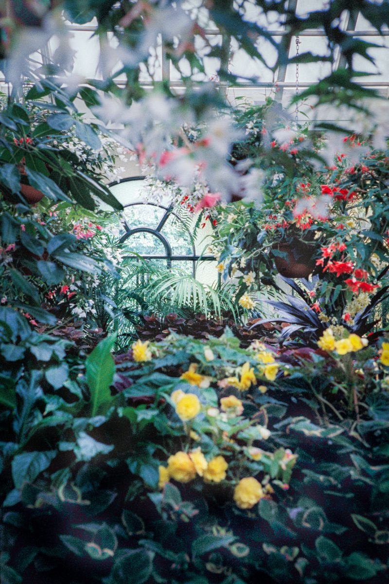 The Conservatory No 02 Ltd Ed