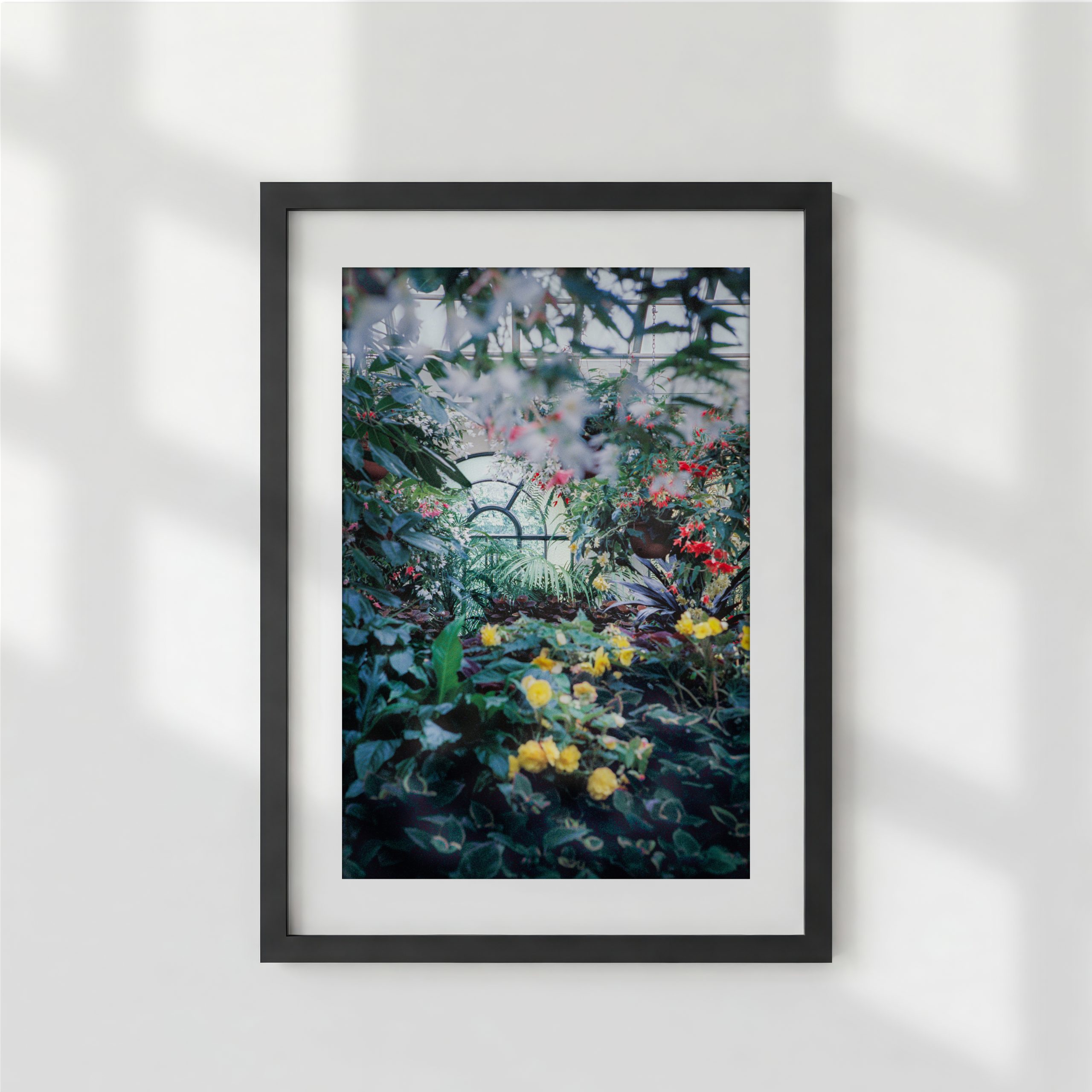 The Conservatory 2 Black Frame With Shadow