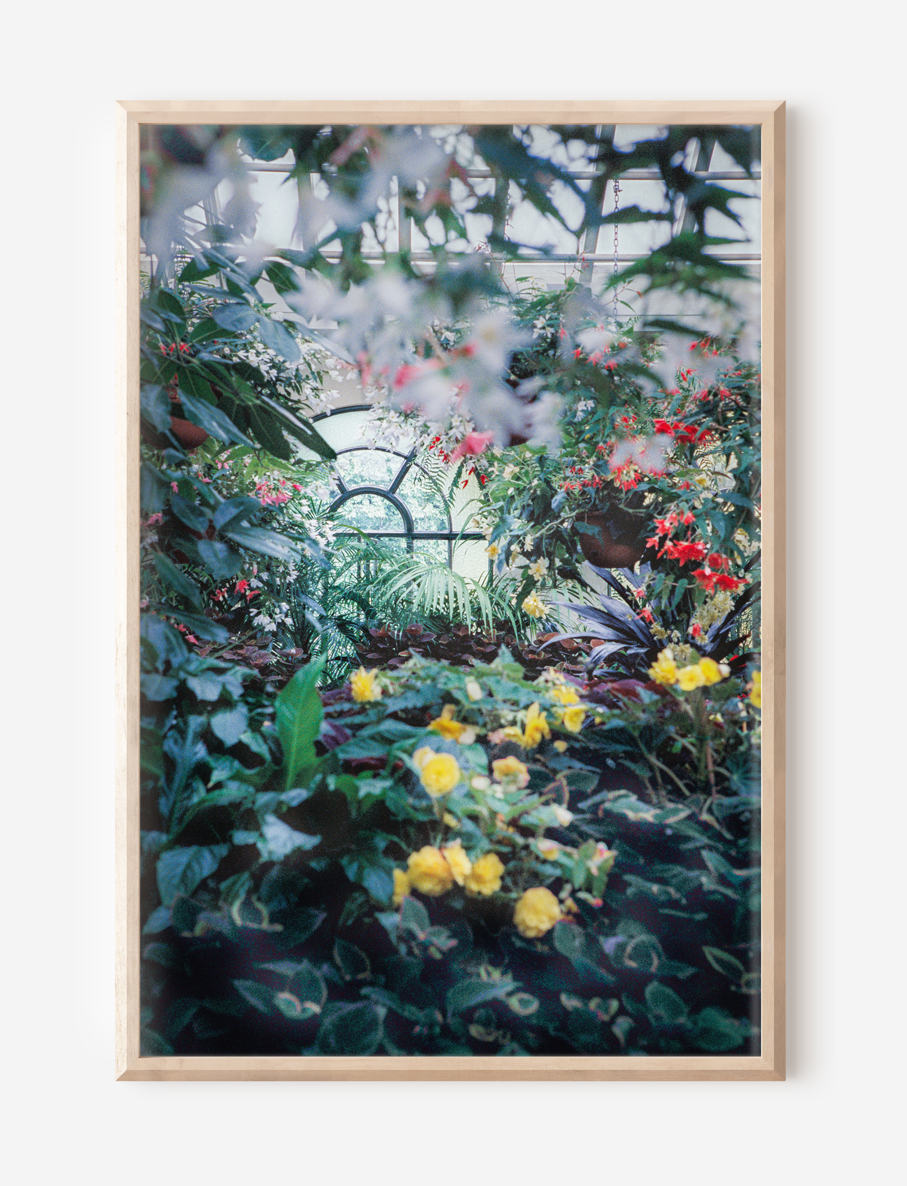 The Conservatory 2 Pine Frame