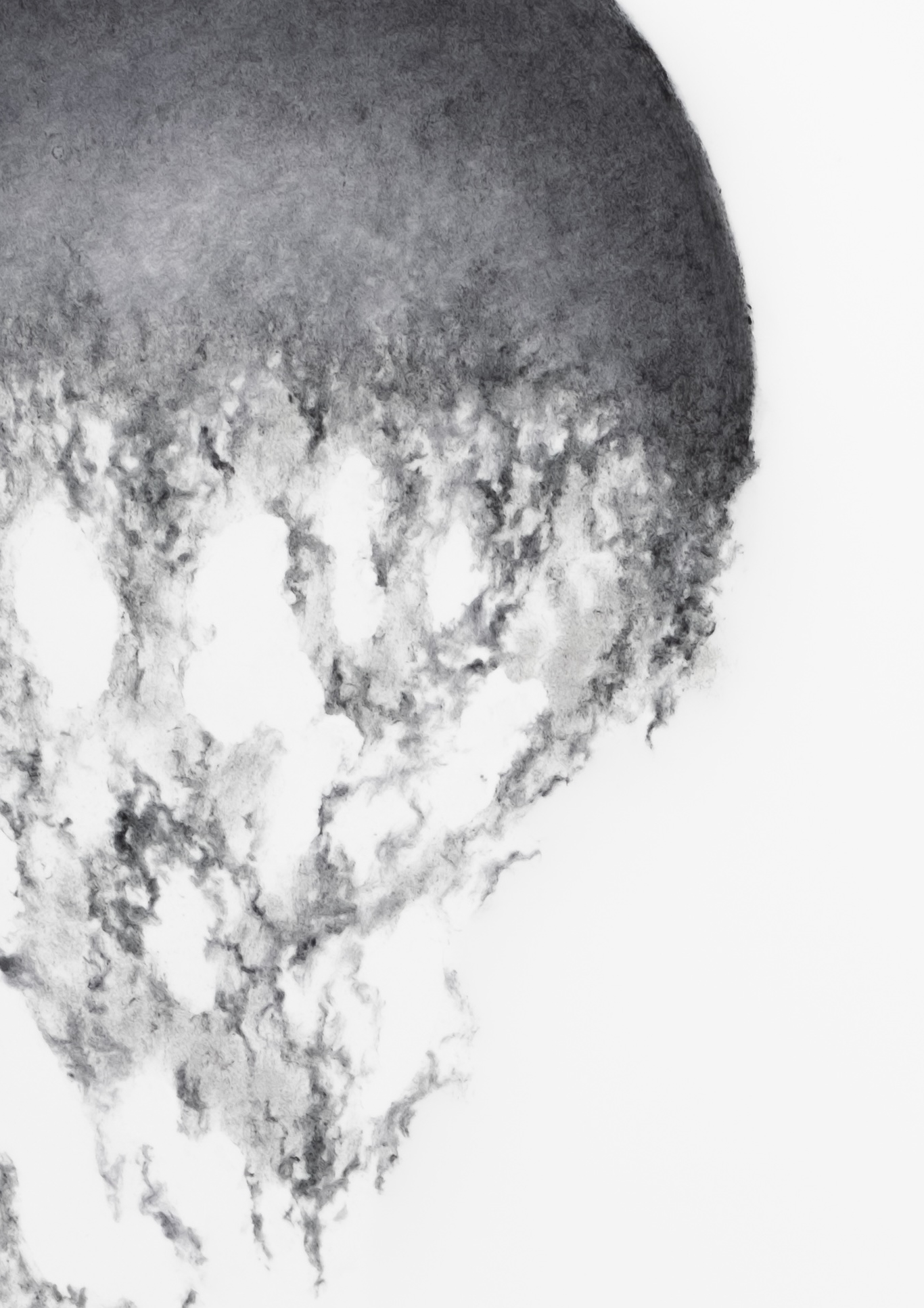 Rihasa Hill Cc5 Falling Away 13