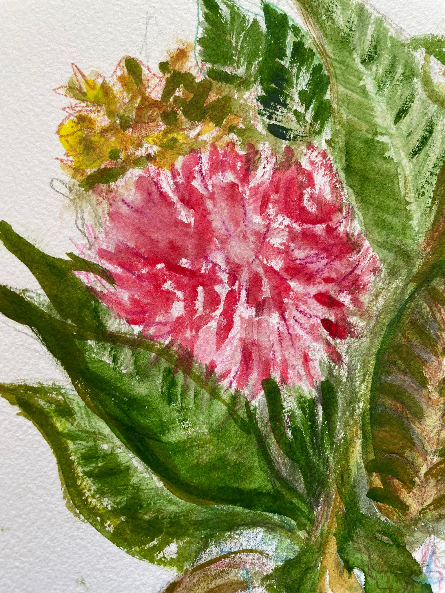 20250613 Waratah Center Stage Detail