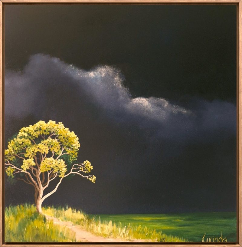 Where The Light Pauses