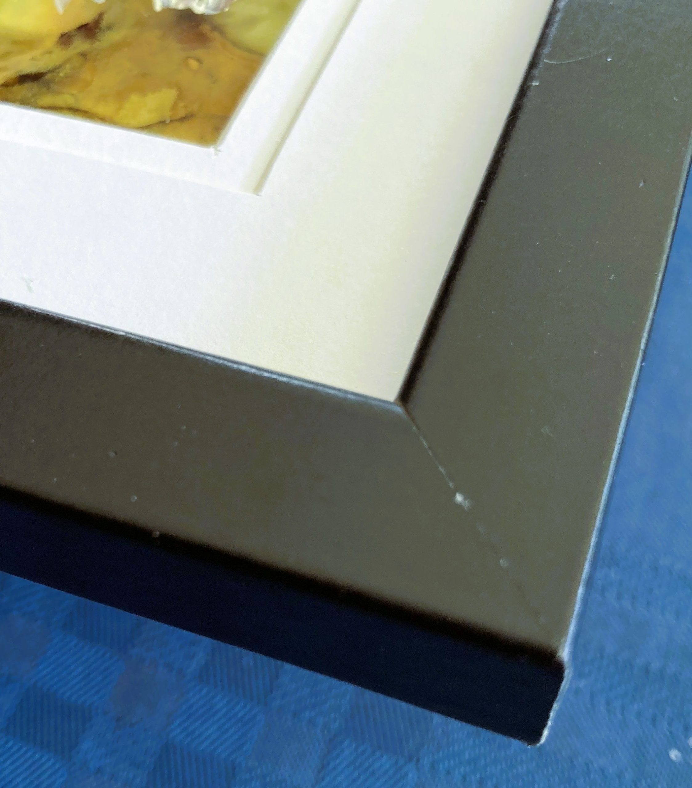 Mbj 464 Keeping Watch Edge