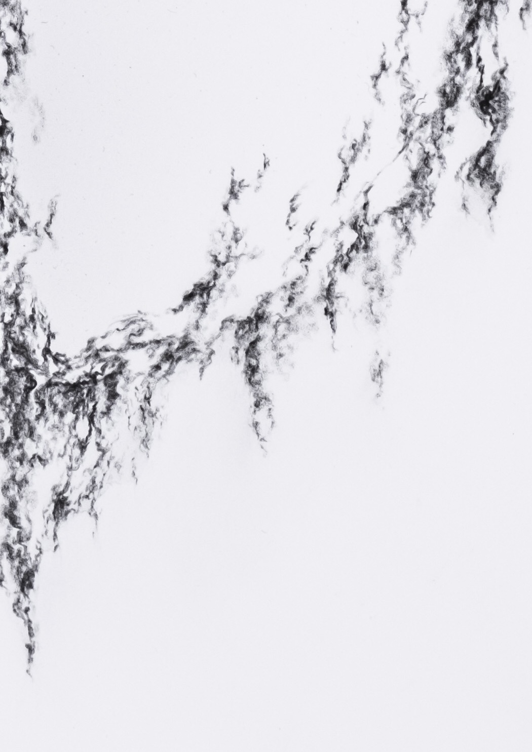 Rihasa Hill Cc9 Subsolid 2