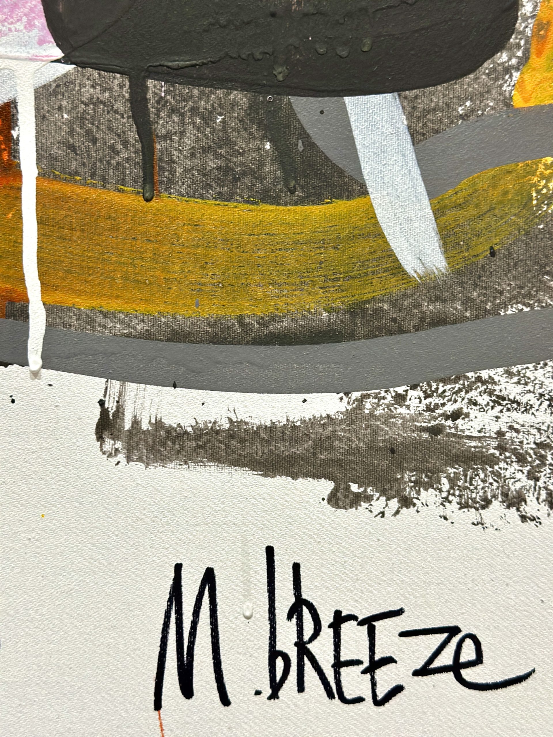 Martin Breeze Snyder Signed