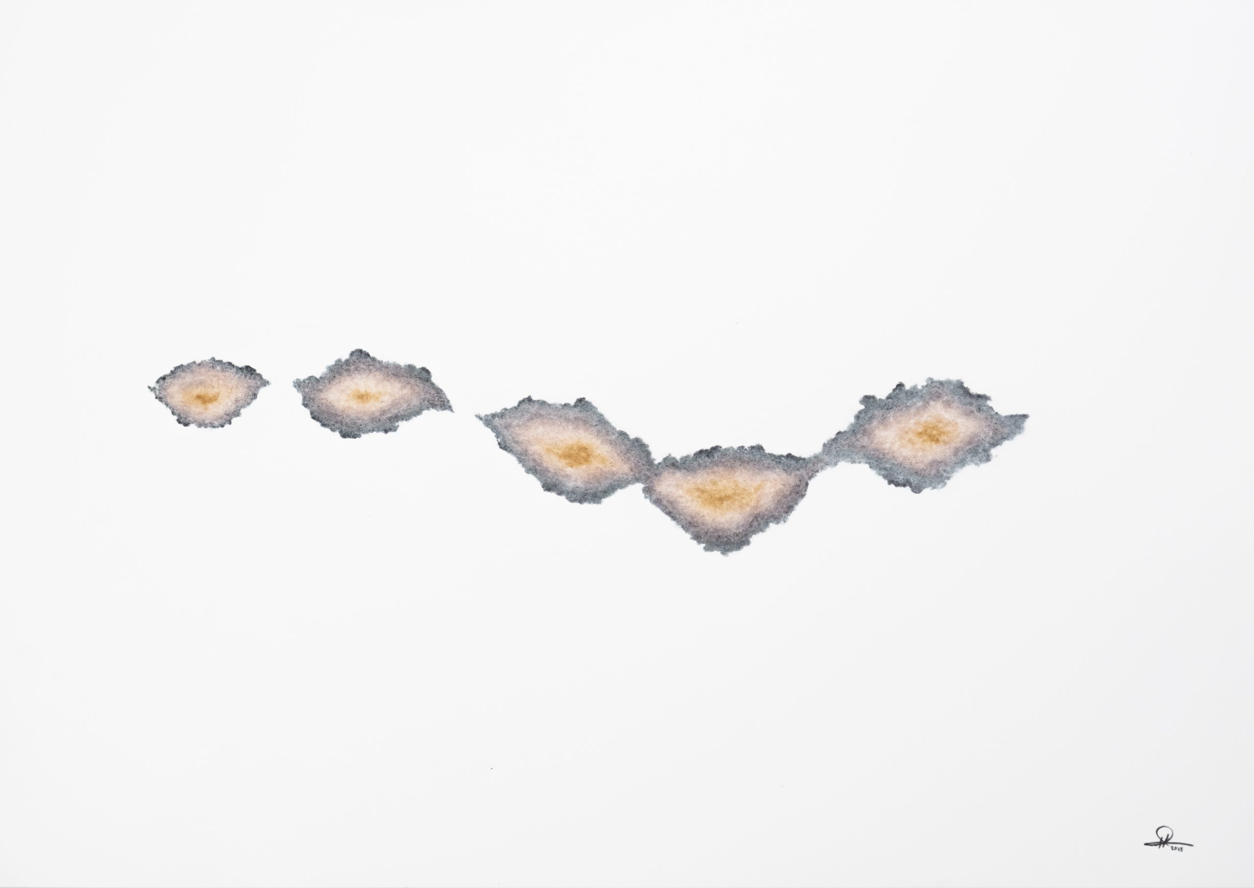 Rihasa Hill Ca4 Interstitial Spaces 1