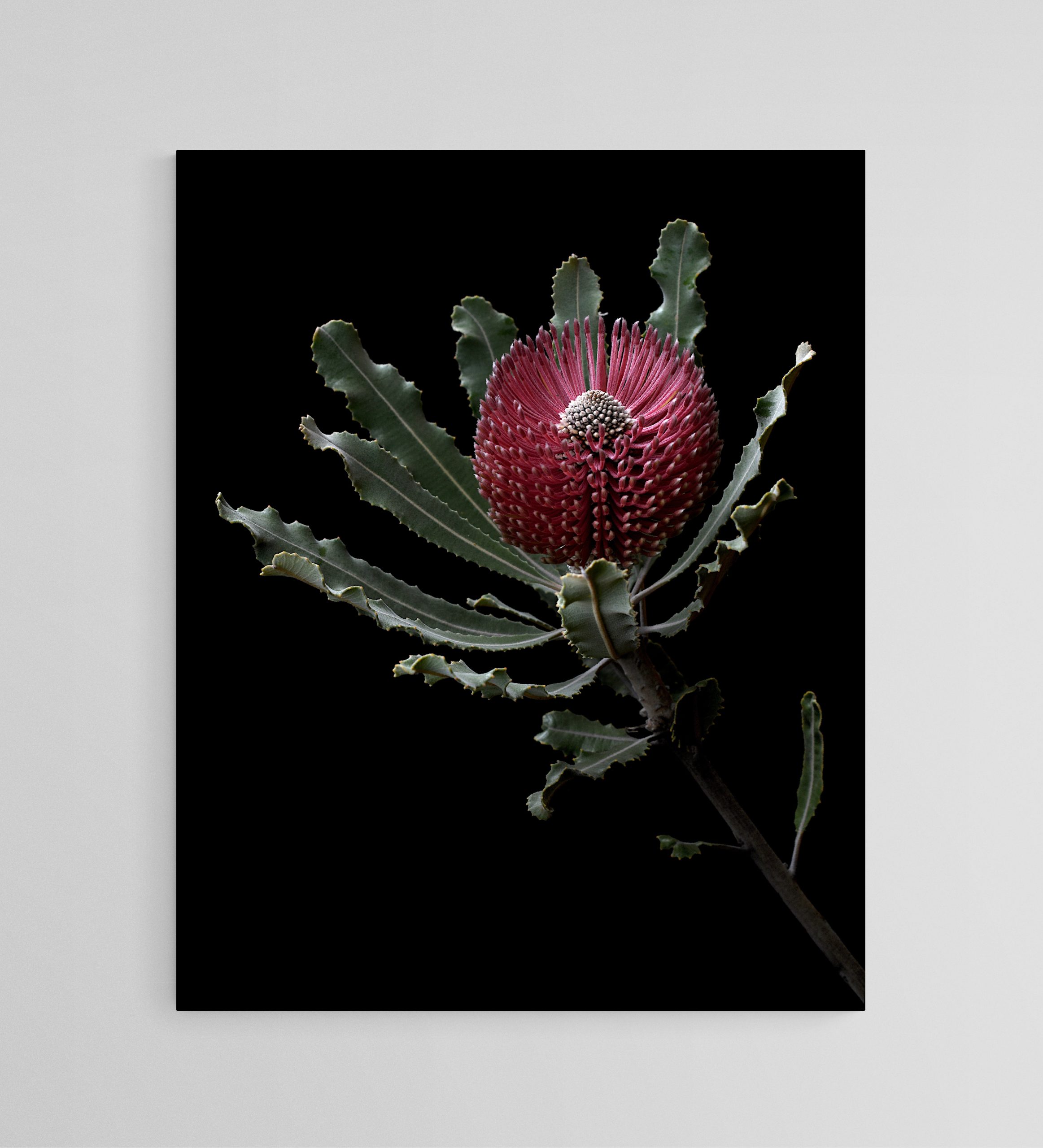 Empty Room 2025 06 14t142523.418