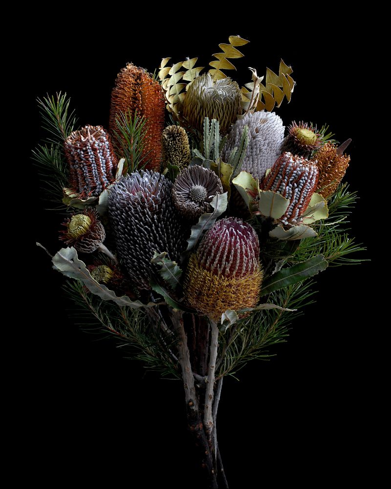 Banksia Bouquet Ltd Ed Print