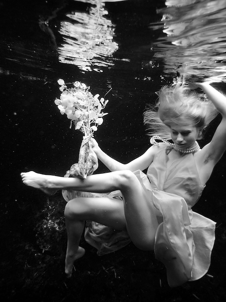 Where the Dreamlight Glows – Black & White