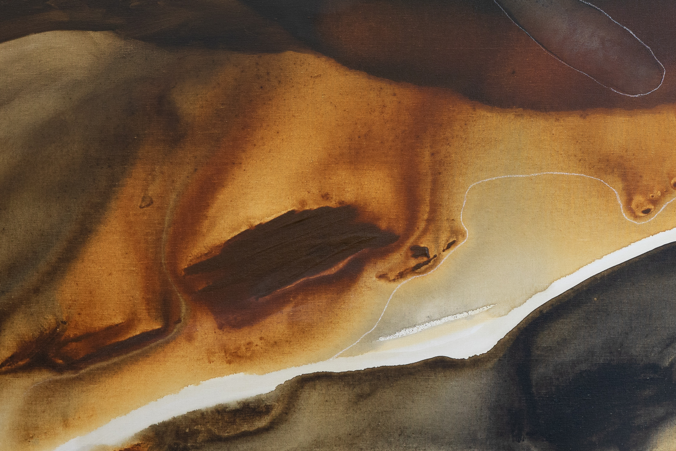 Wild Country (detail 2)