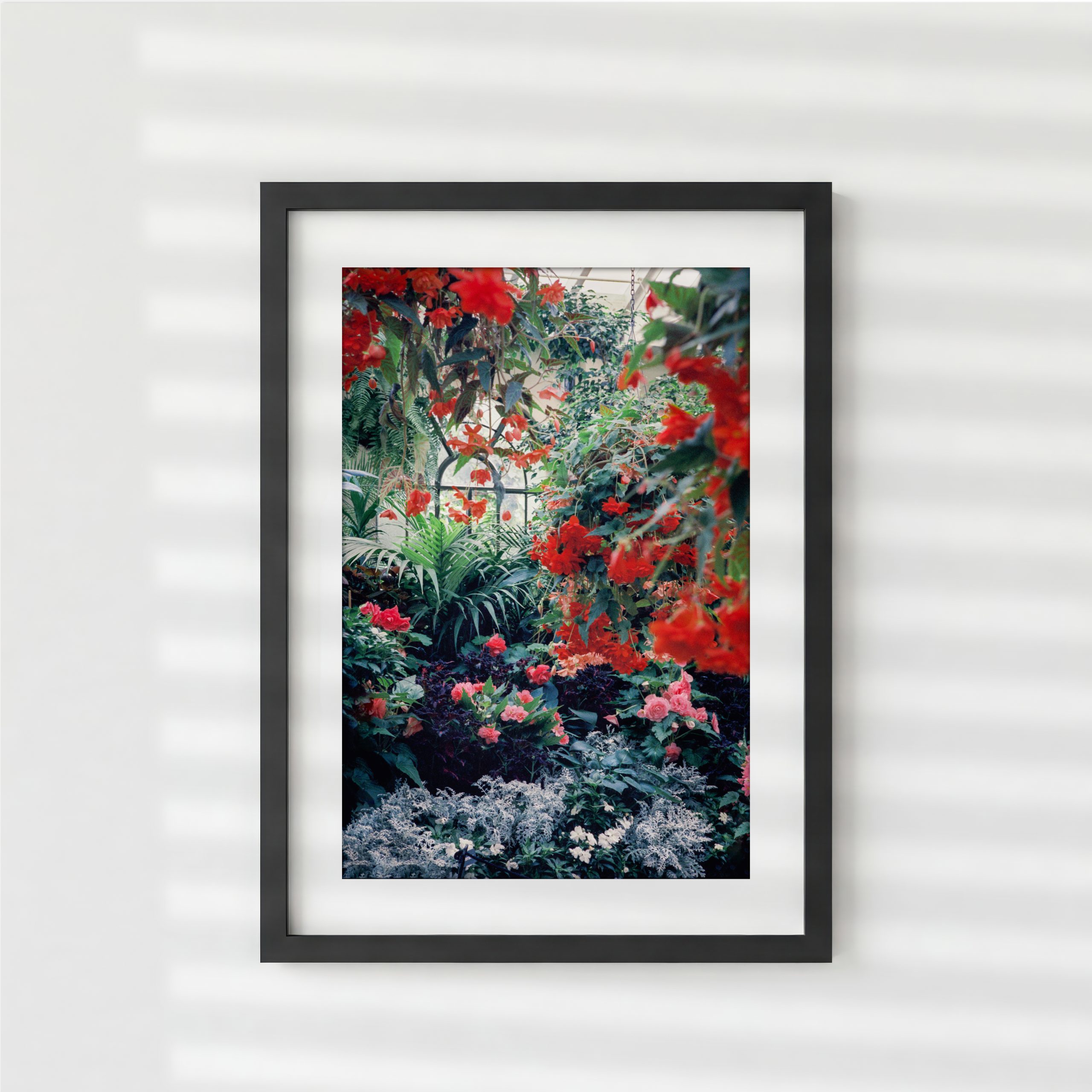 The Conservatory 3 Black Frame With Shadow