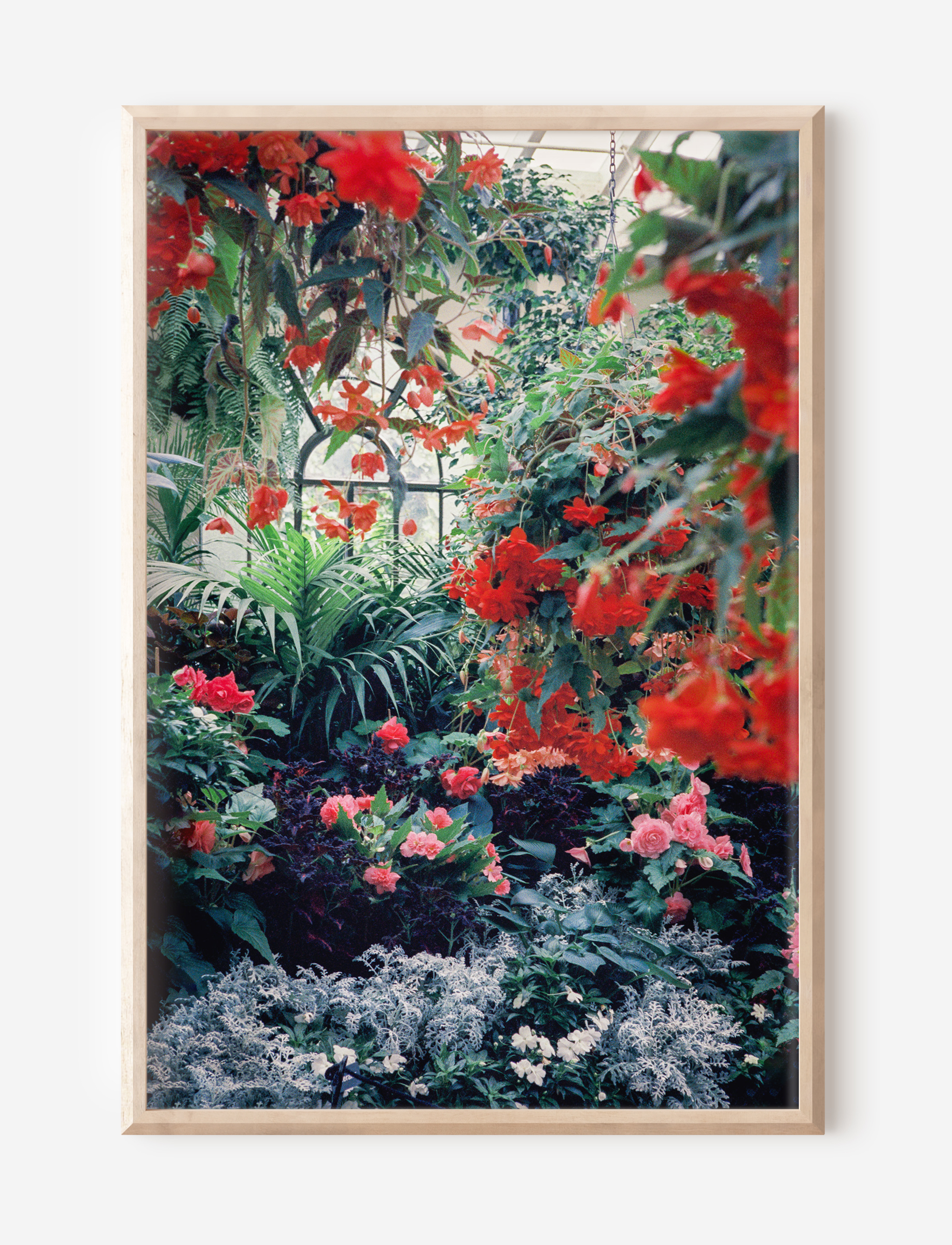 The Conservatory 3 Pine Frame