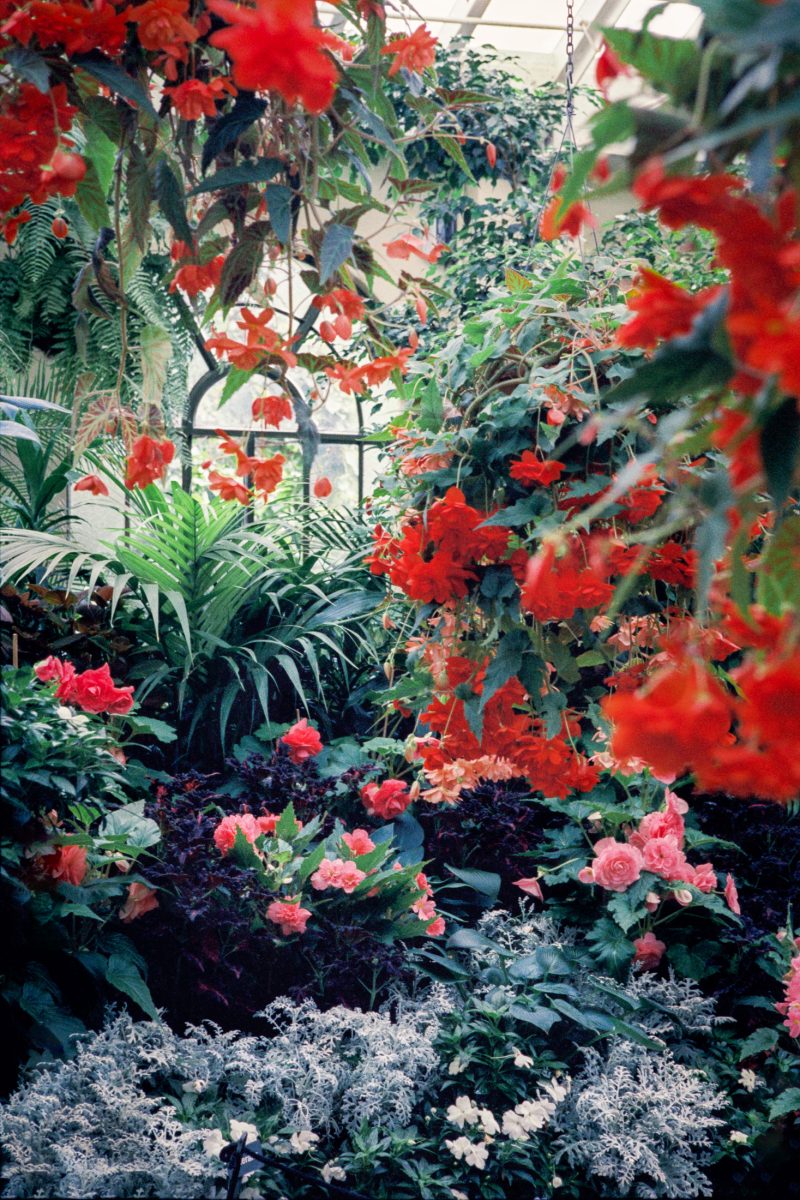 The Conservatory No 03 Ltd Ed