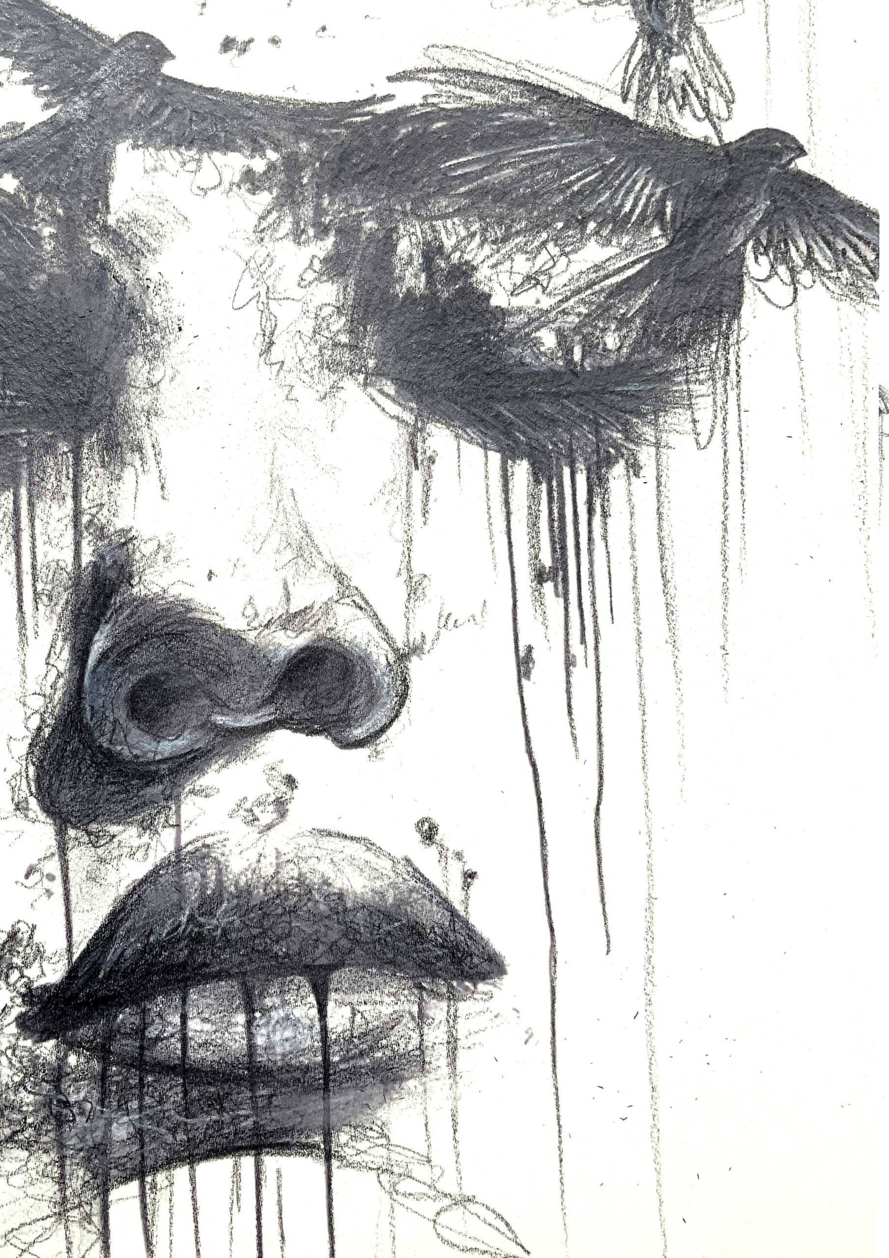 Sydney Artist Leni Kae Spirit Of Birds Closeup