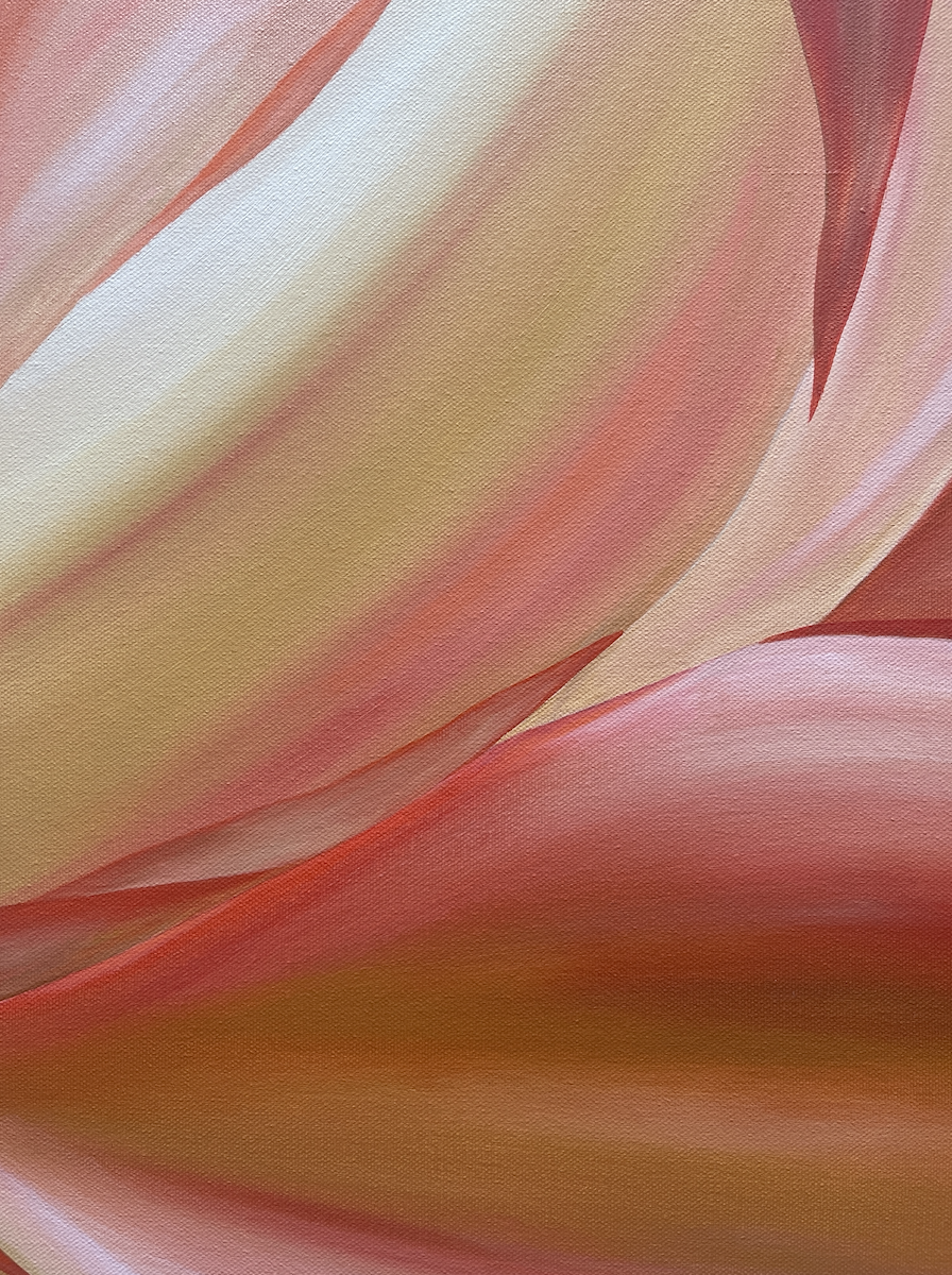 Screenshot 2025 02 26 At 2.58.16 pm