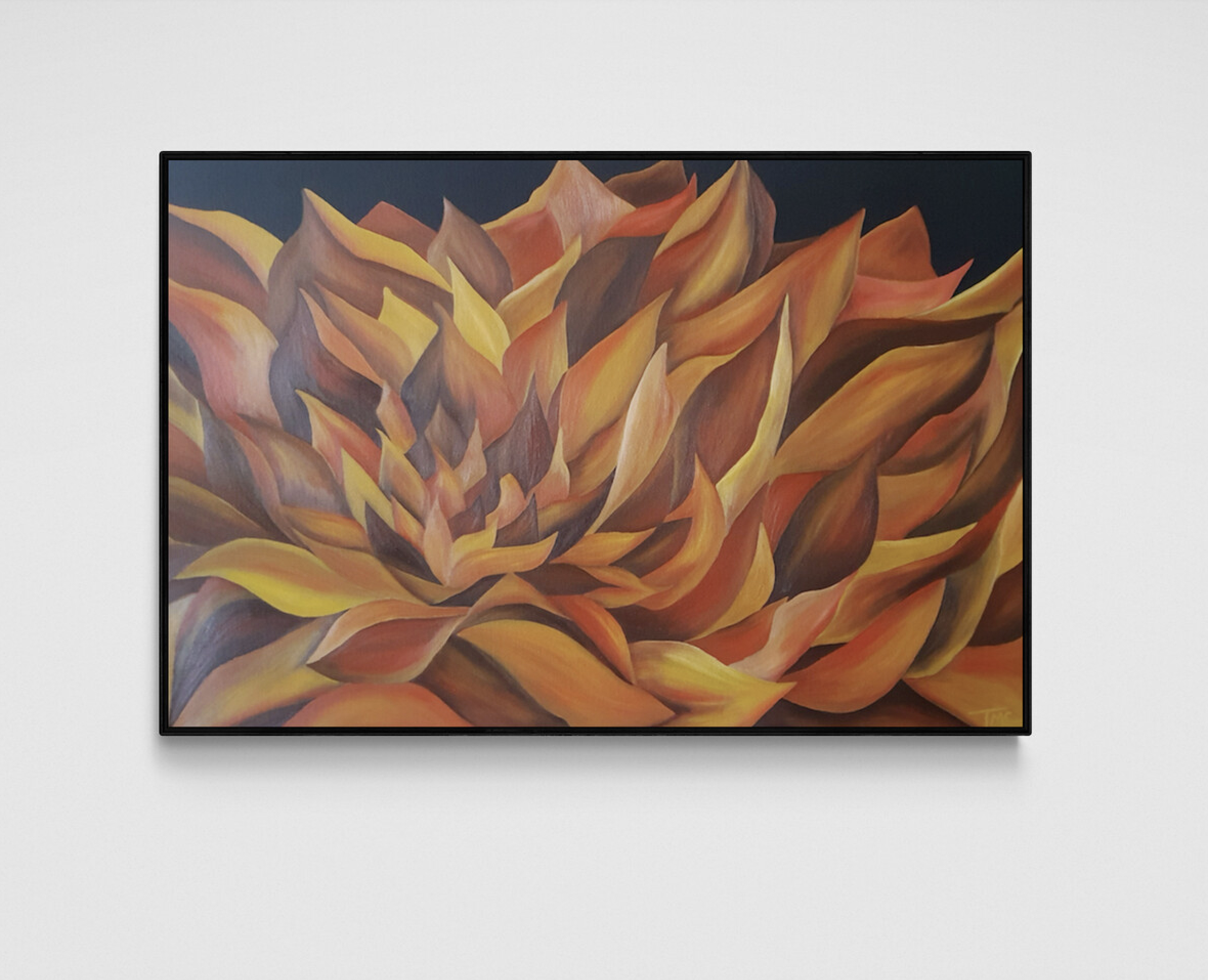 Screenshot 2025 06 27 At 5.46.49 pm