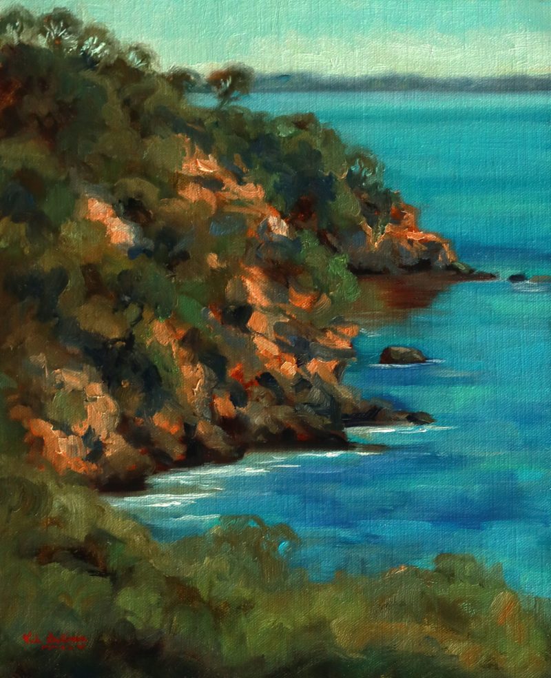 View from Portsea clifftop