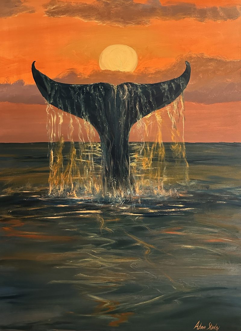 Sunset Orange Whale Tail