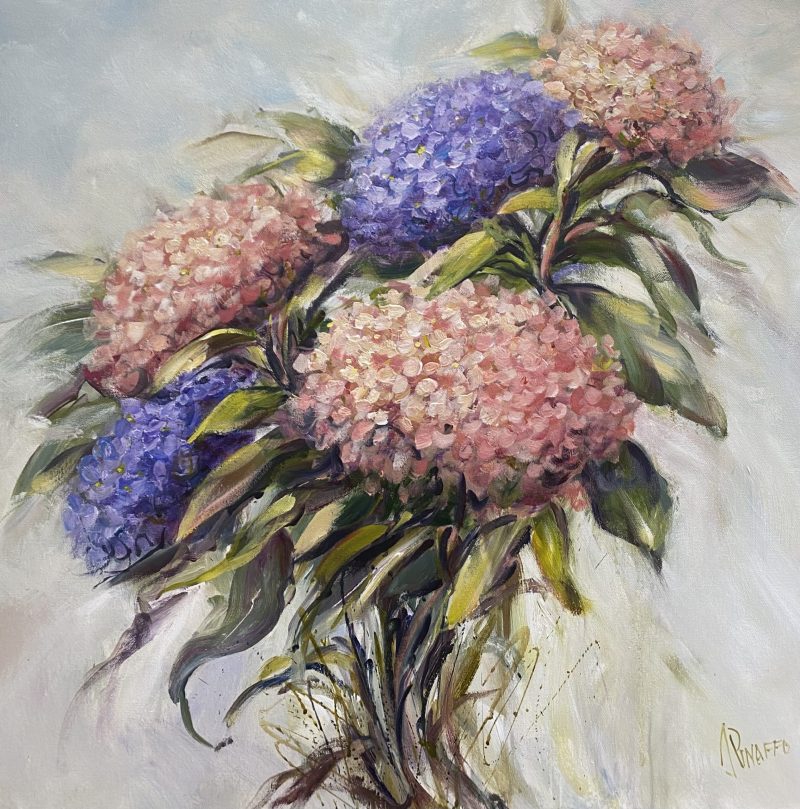 Lots of hydrangeas 4