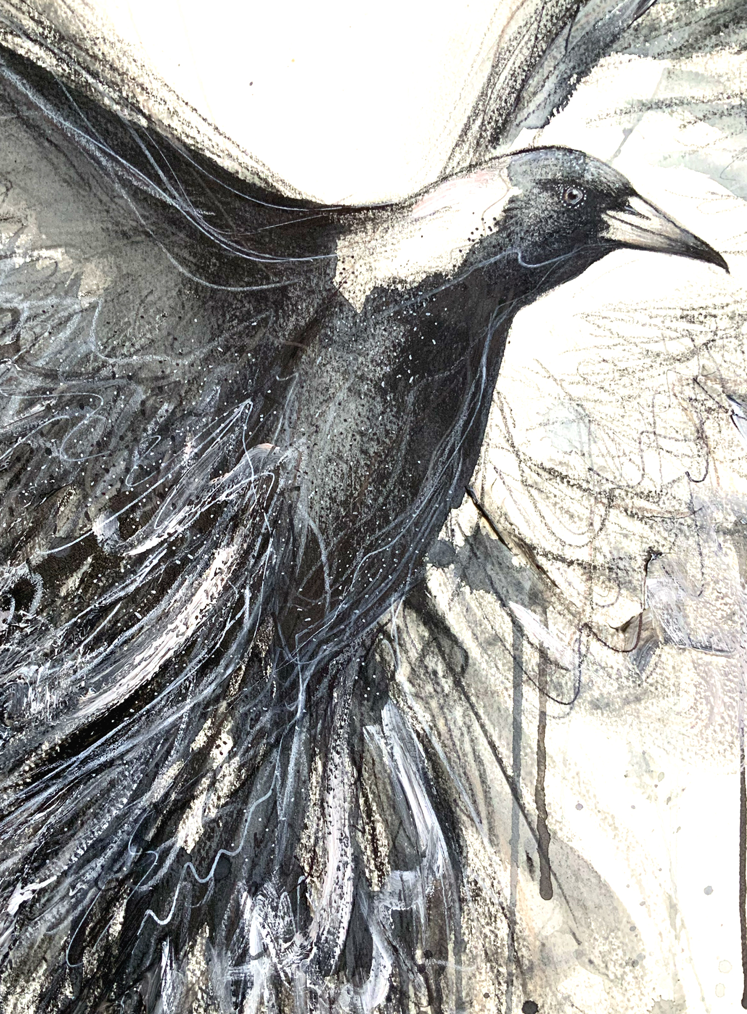 Sydney Artist Leni Kae Magpie Awakening 56x76cm 100dpi Closeup