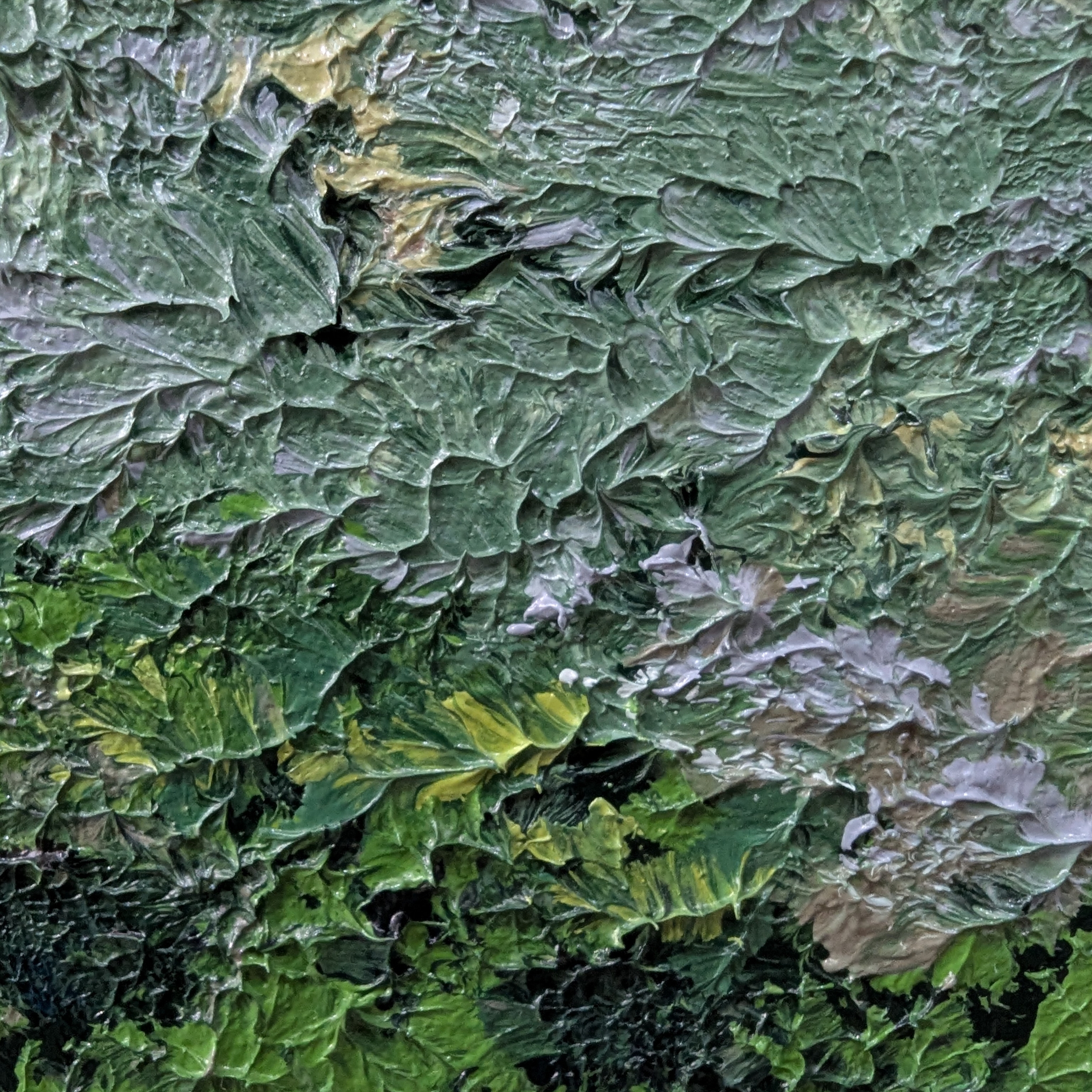 Sam Askin Coral Beach Sun Shower Ala Forest