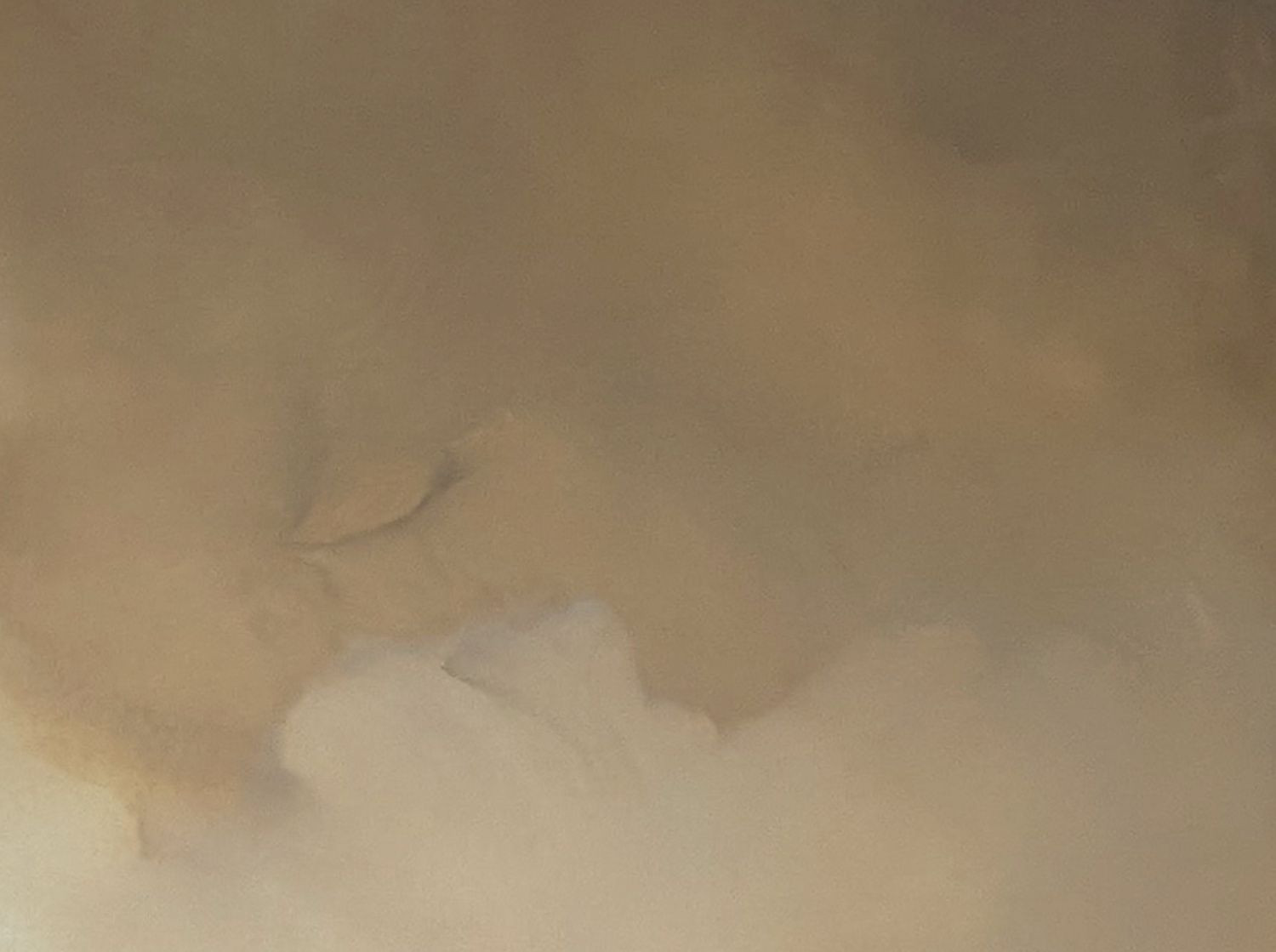 The Light In Me Gabriela Azar Schreiner 4