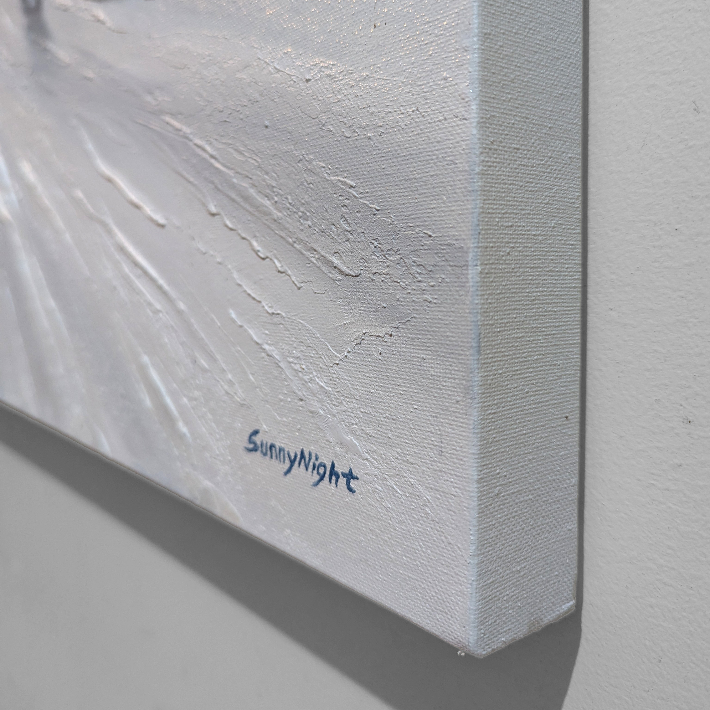 Pxl 20250324 113140247.mp~2