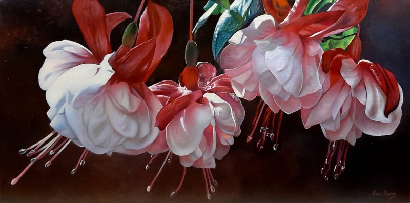 Swingtime for Fuchsia Lovers