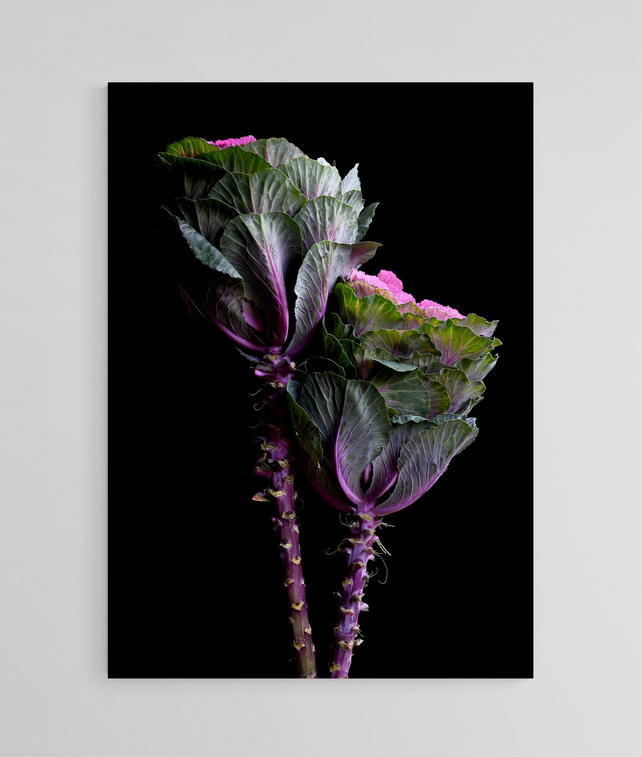 Empty Room 2025 06 26t151434.275