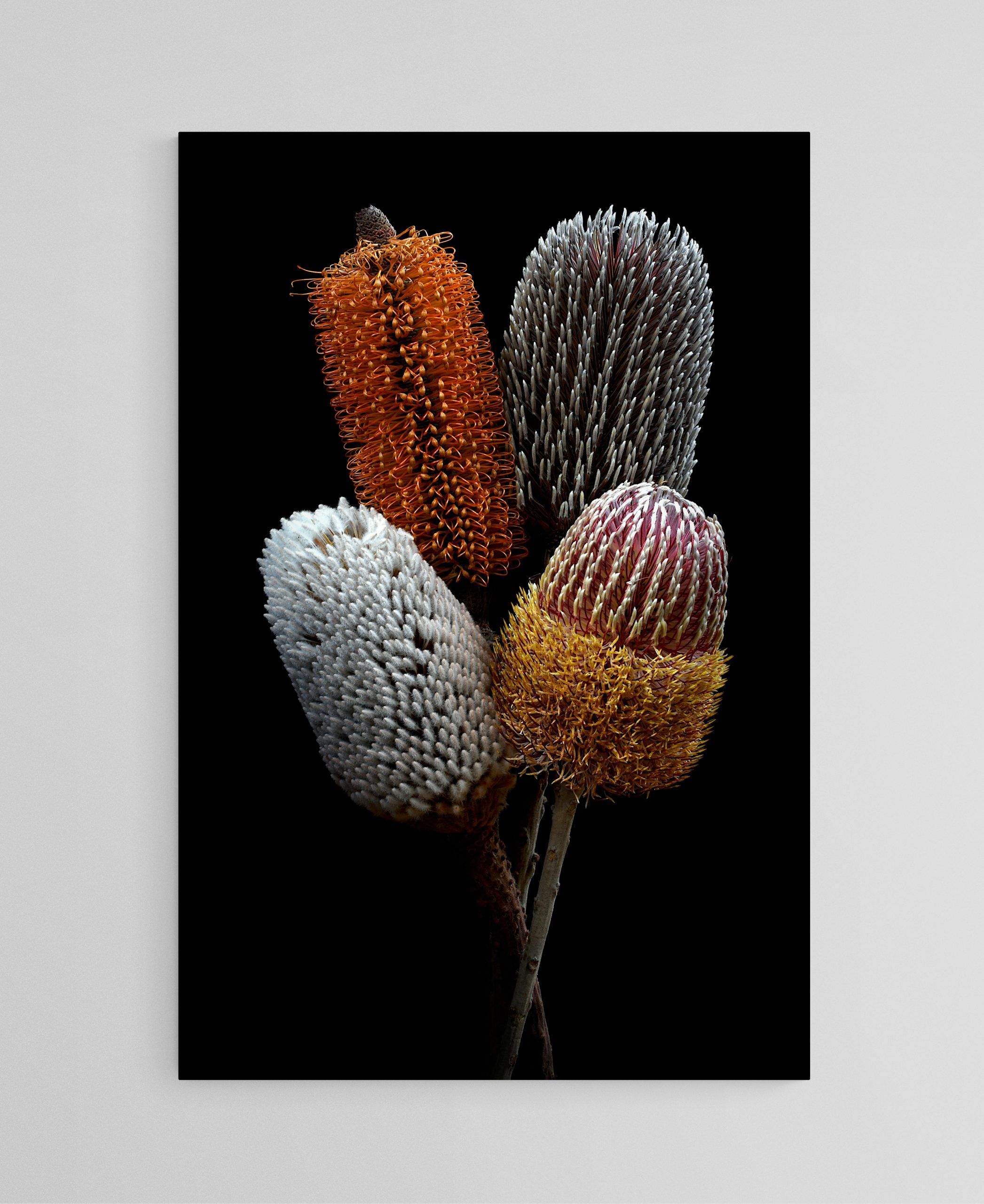 Empty Room 2025 06 23t145654.439