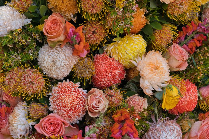 Flower Wall Wow – No 1