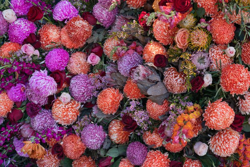 Flower Wall Wow – No 2