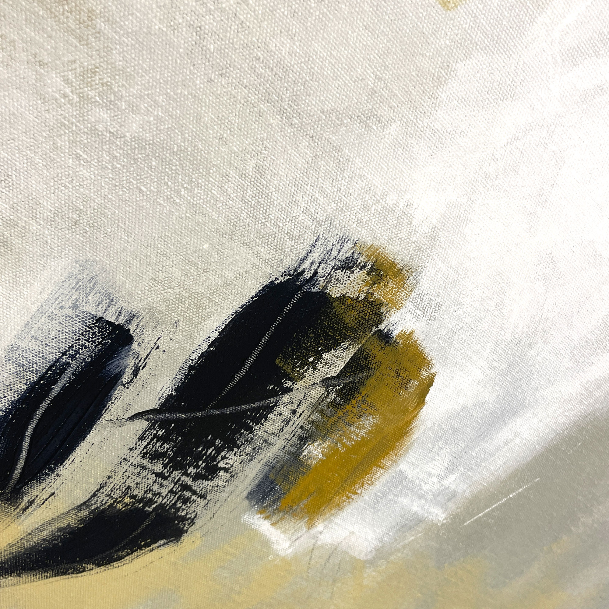 Strictly Denim Cheryl Harrison A