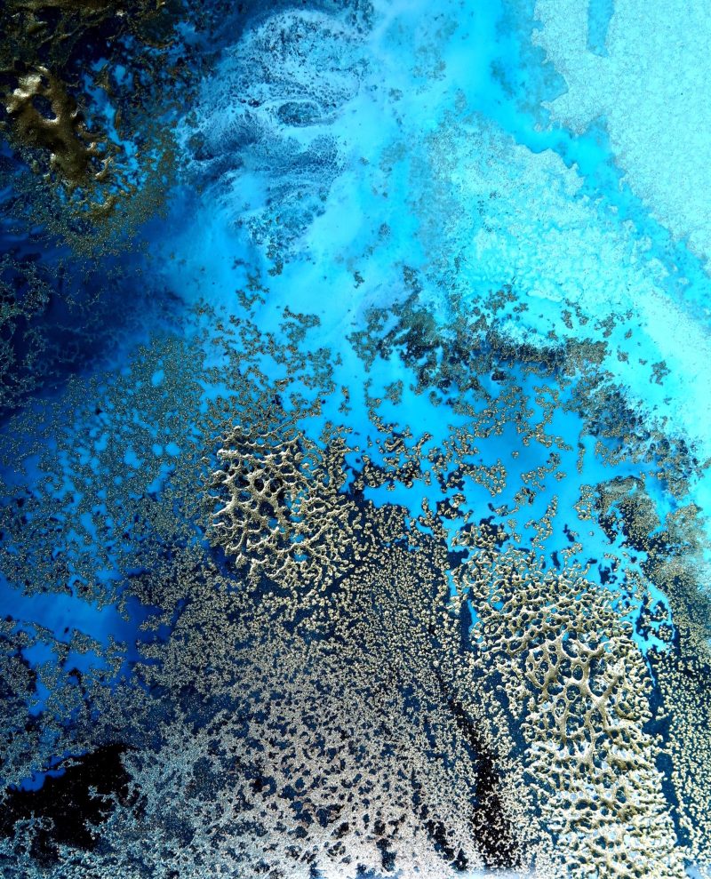 Into the Light – Ltd Ed Print