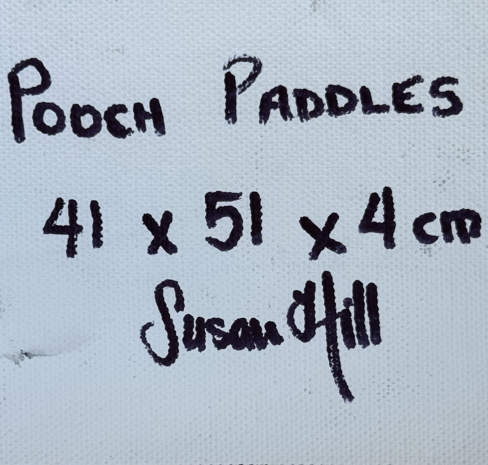 Pooch Paddles Dimensions Copy