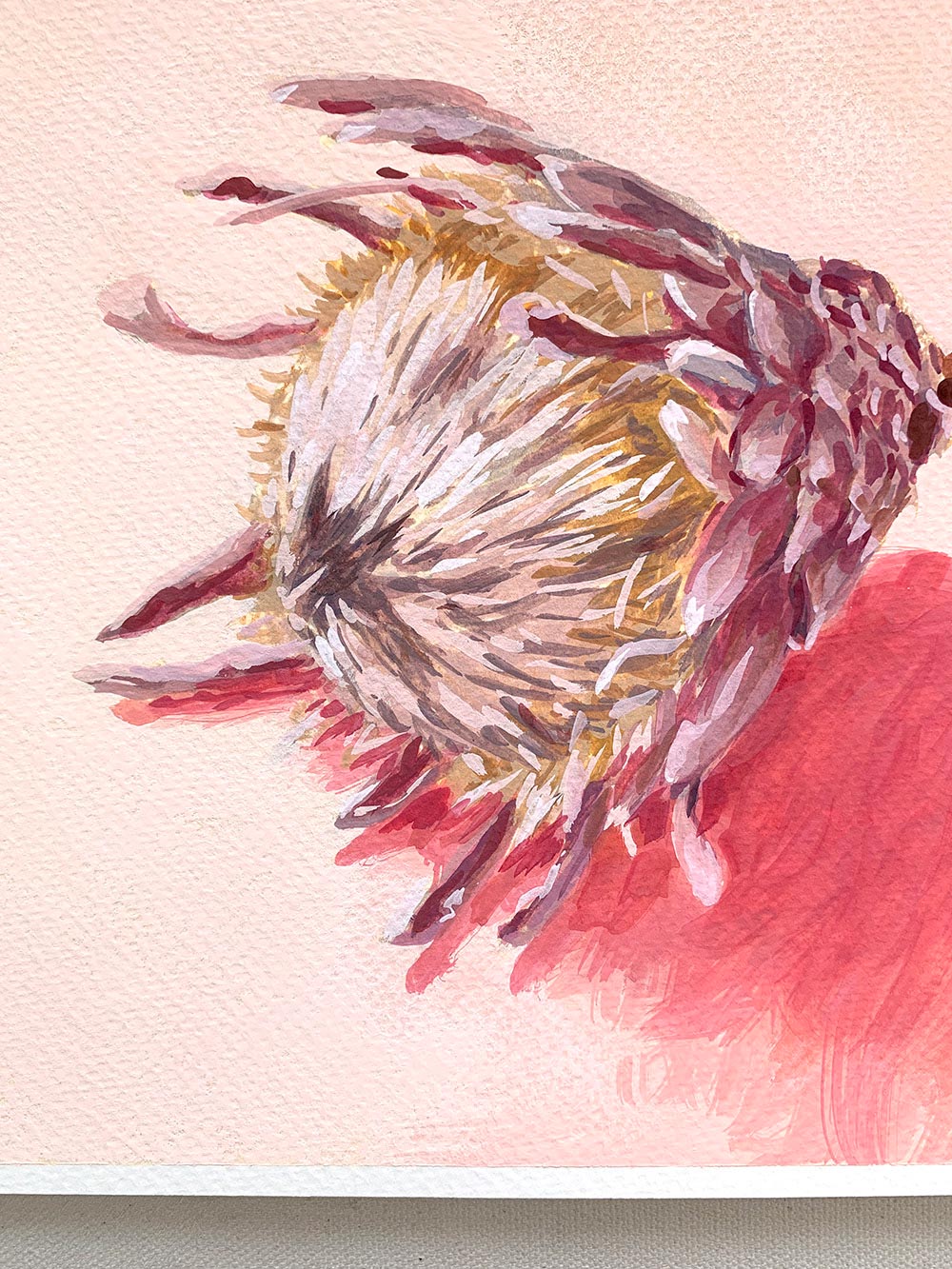 Vickie Liu Dried King Protea On Pink 20x25 Painting Detail