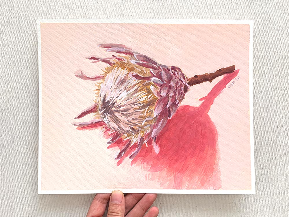 Vickie Liu Dried King Protea On Pink 20x25 Painting Overall