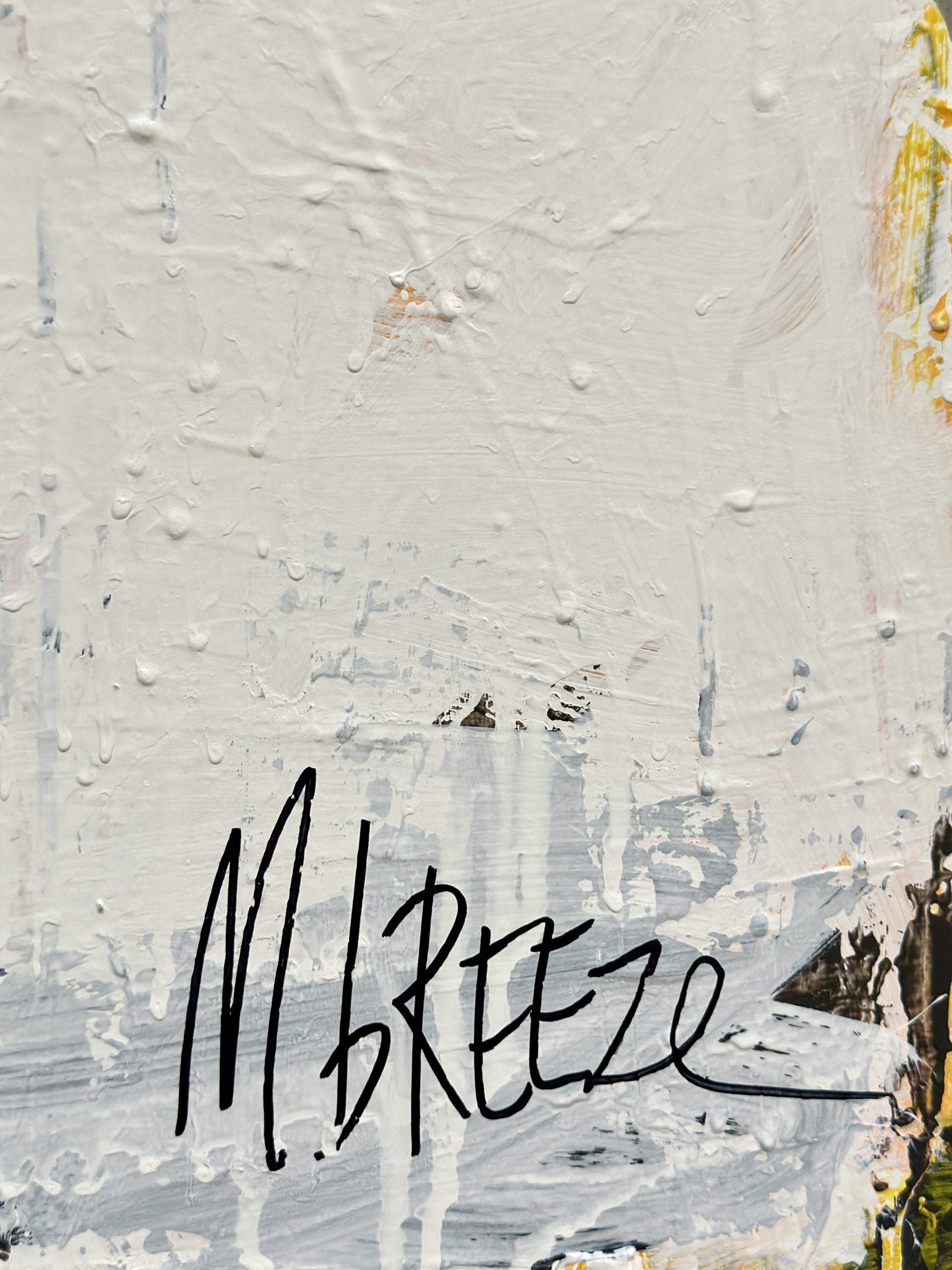 Martin Breeze Echoes In The Rain Engine Signed