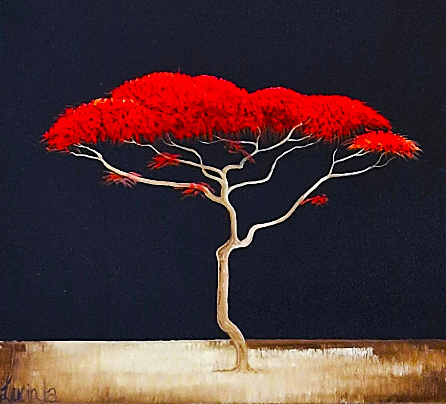 Savanna Dawnfall Lucinda Leveille 6