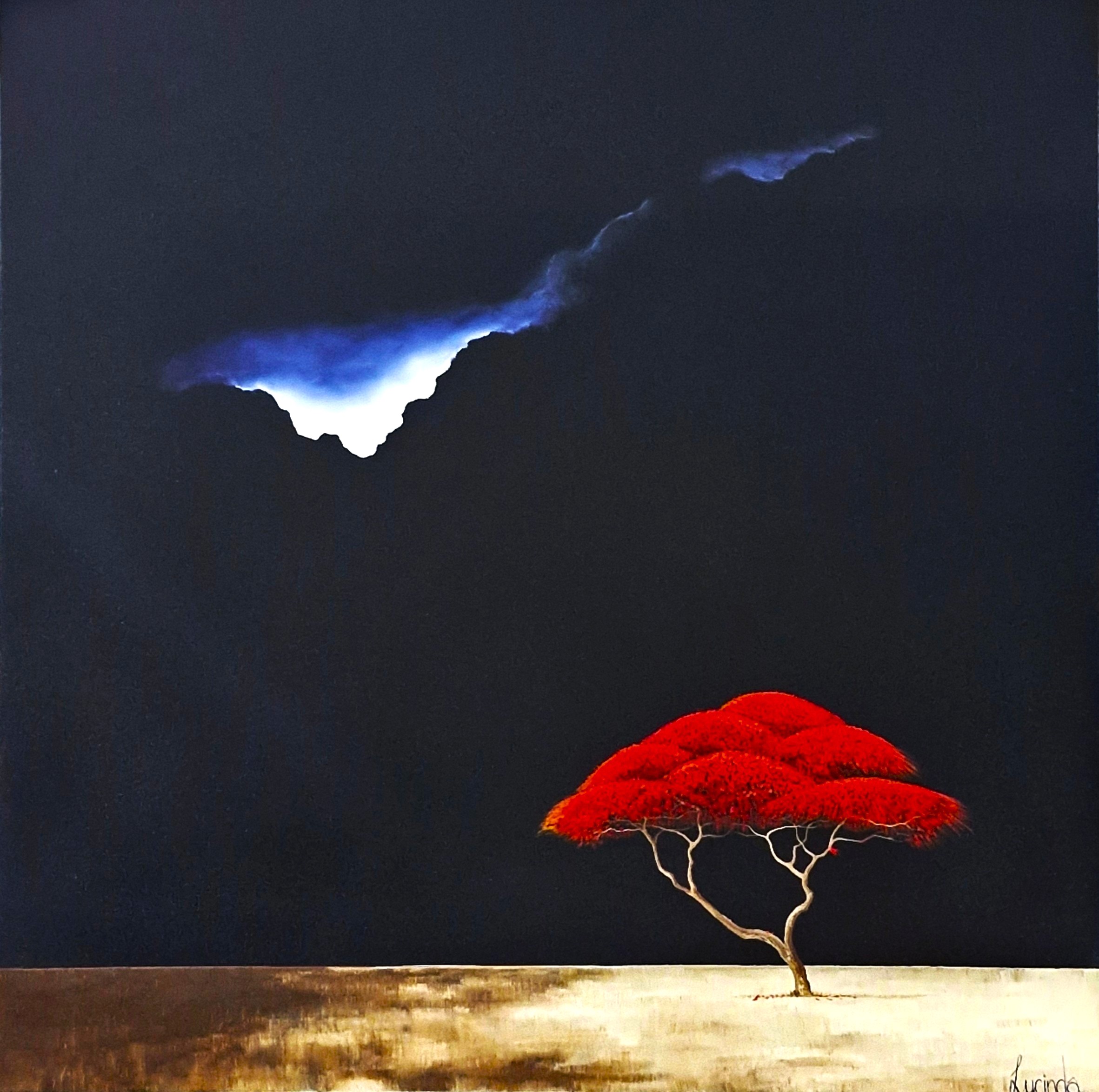 Savanna Nights Lucinda Leveille