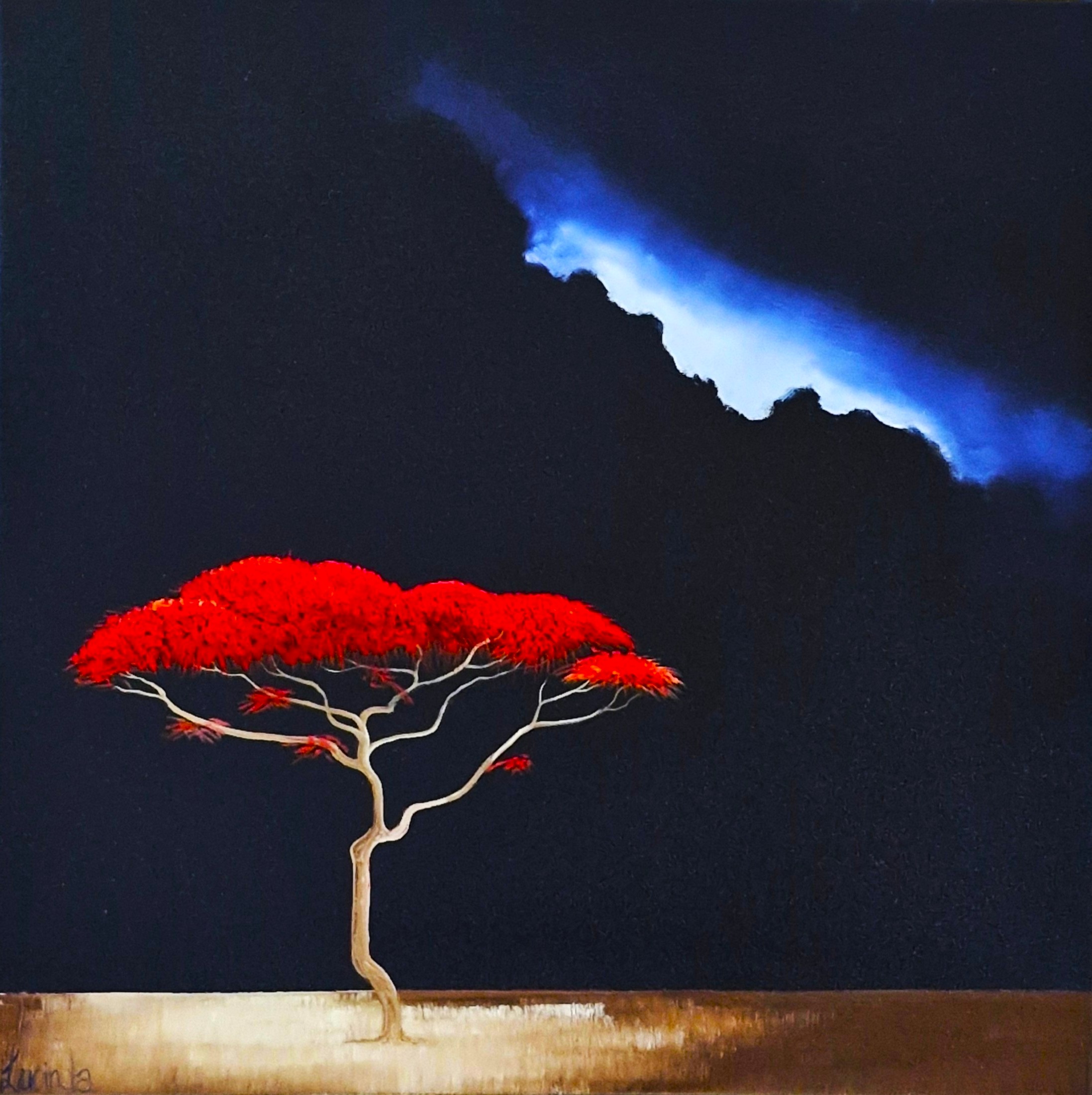 Savanna Dawnfall Lucinda Leveille