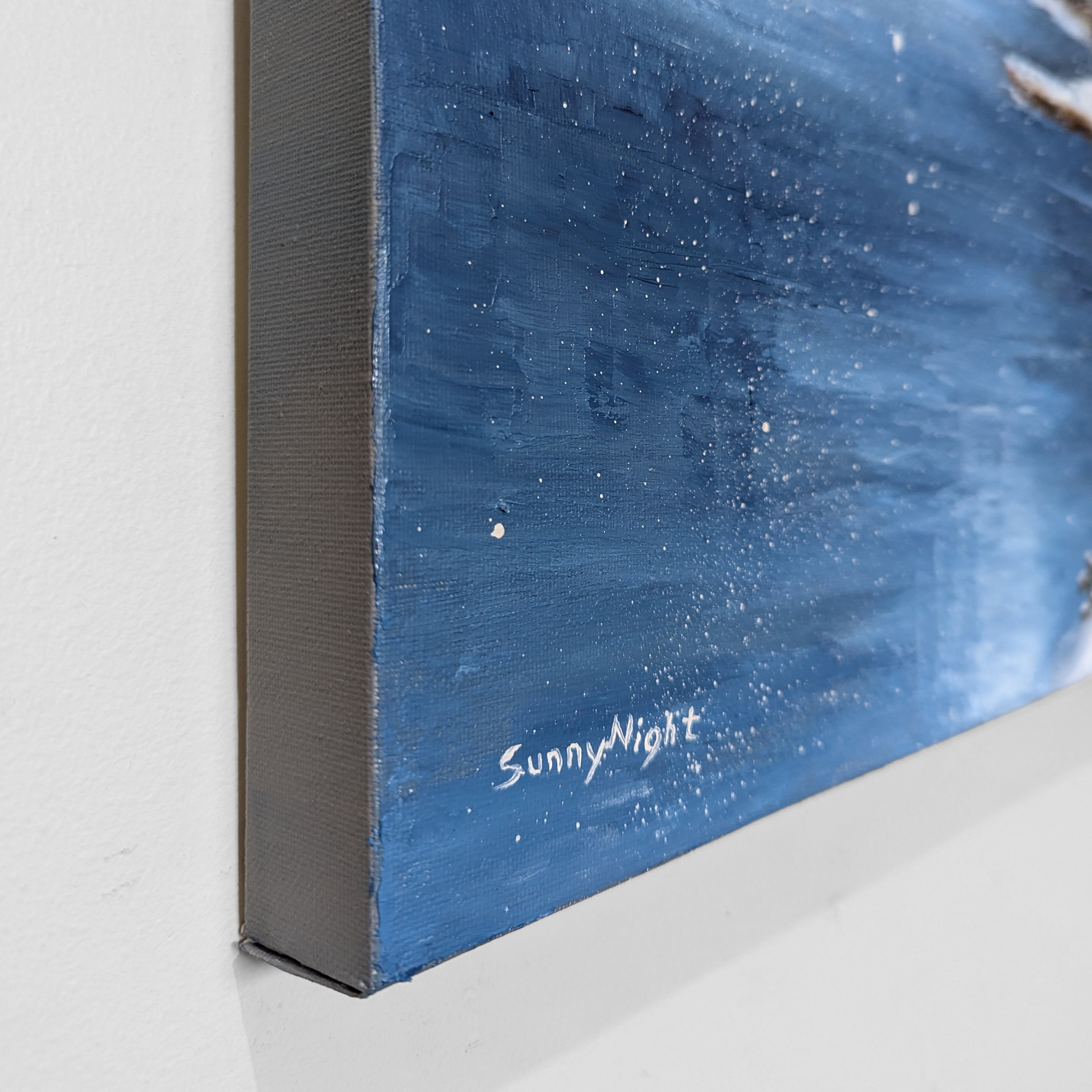 Pxl 20241129 033341216.mp~2